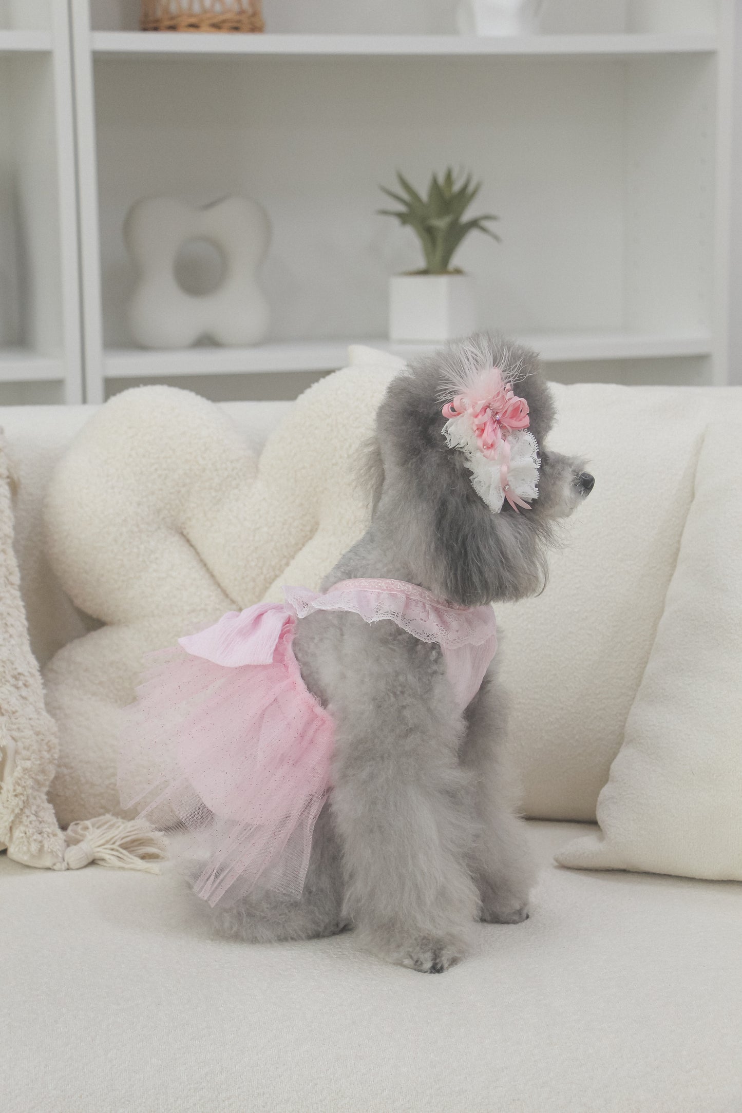 odette dress (fairy pink)