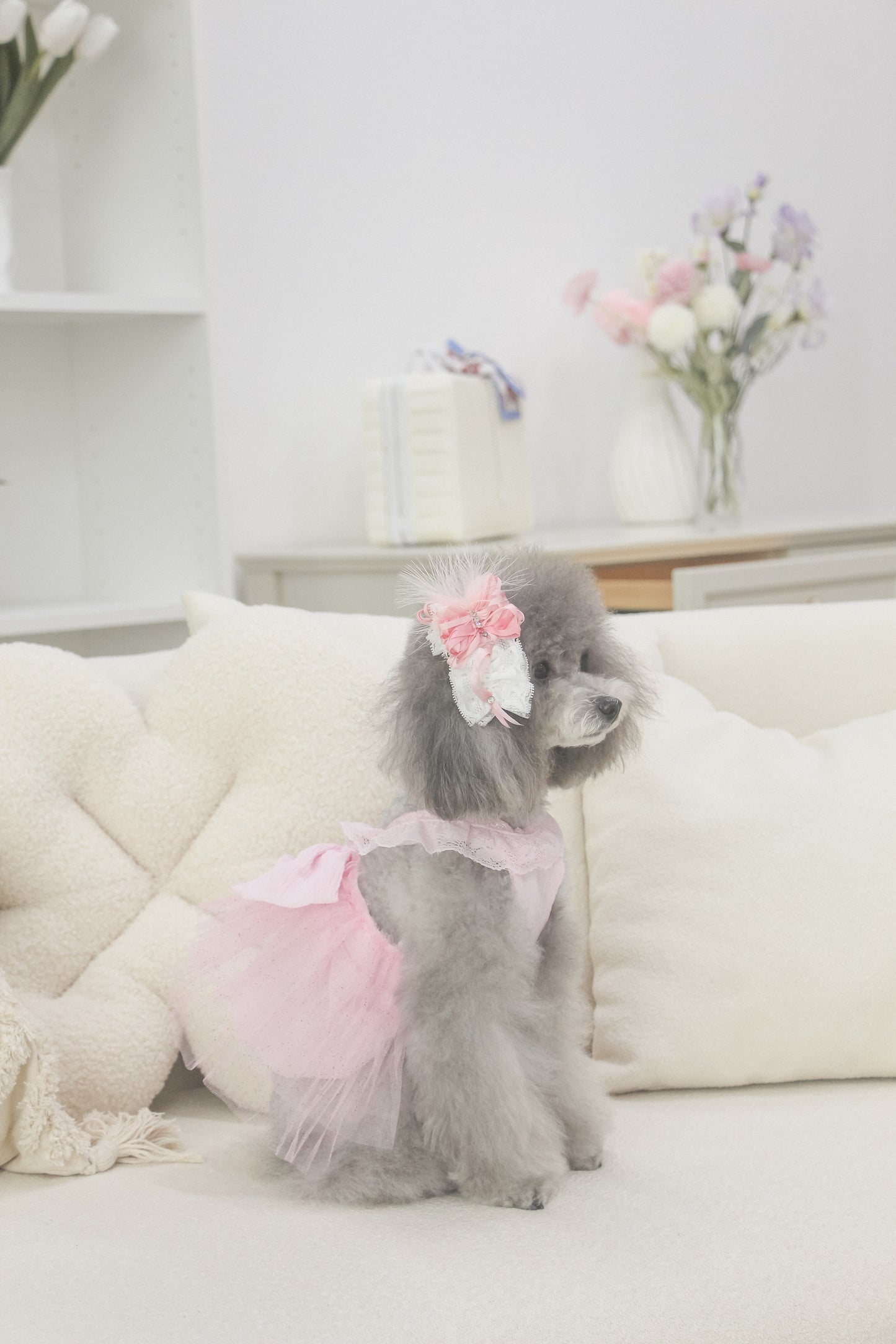 odette dress (fairy pink)