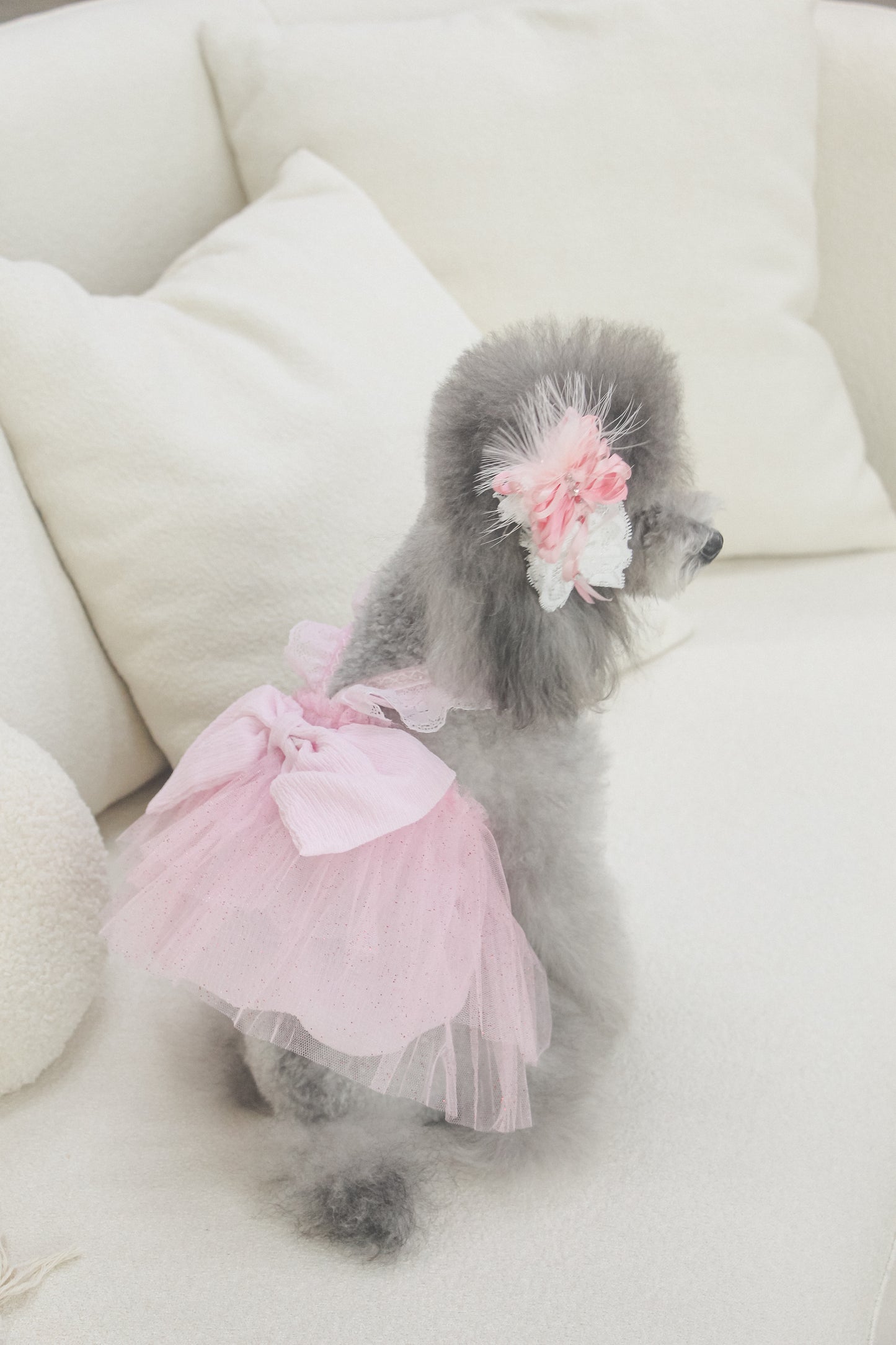 odette dress (fairy pink)