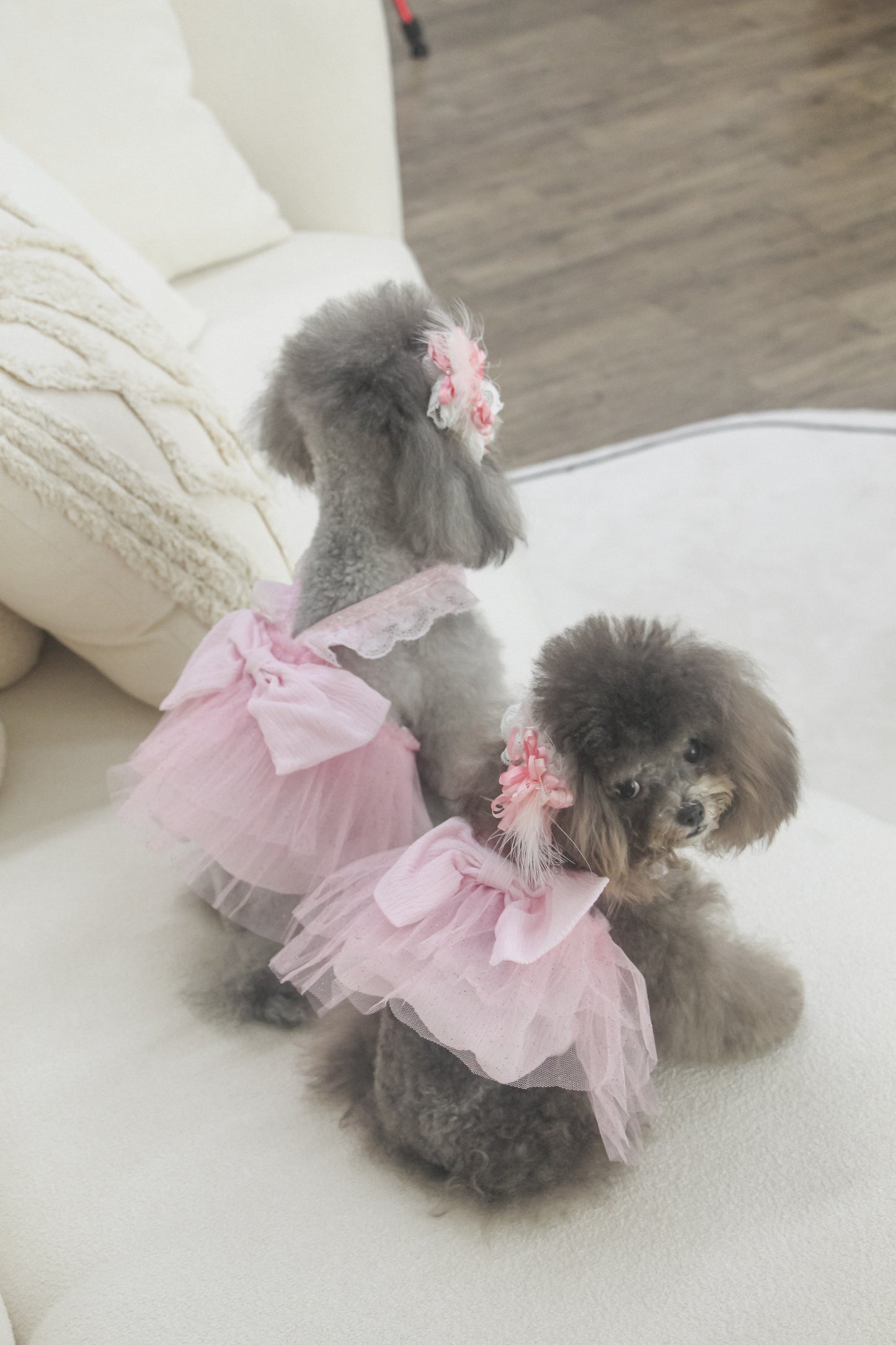 odette dress (fairy pink)