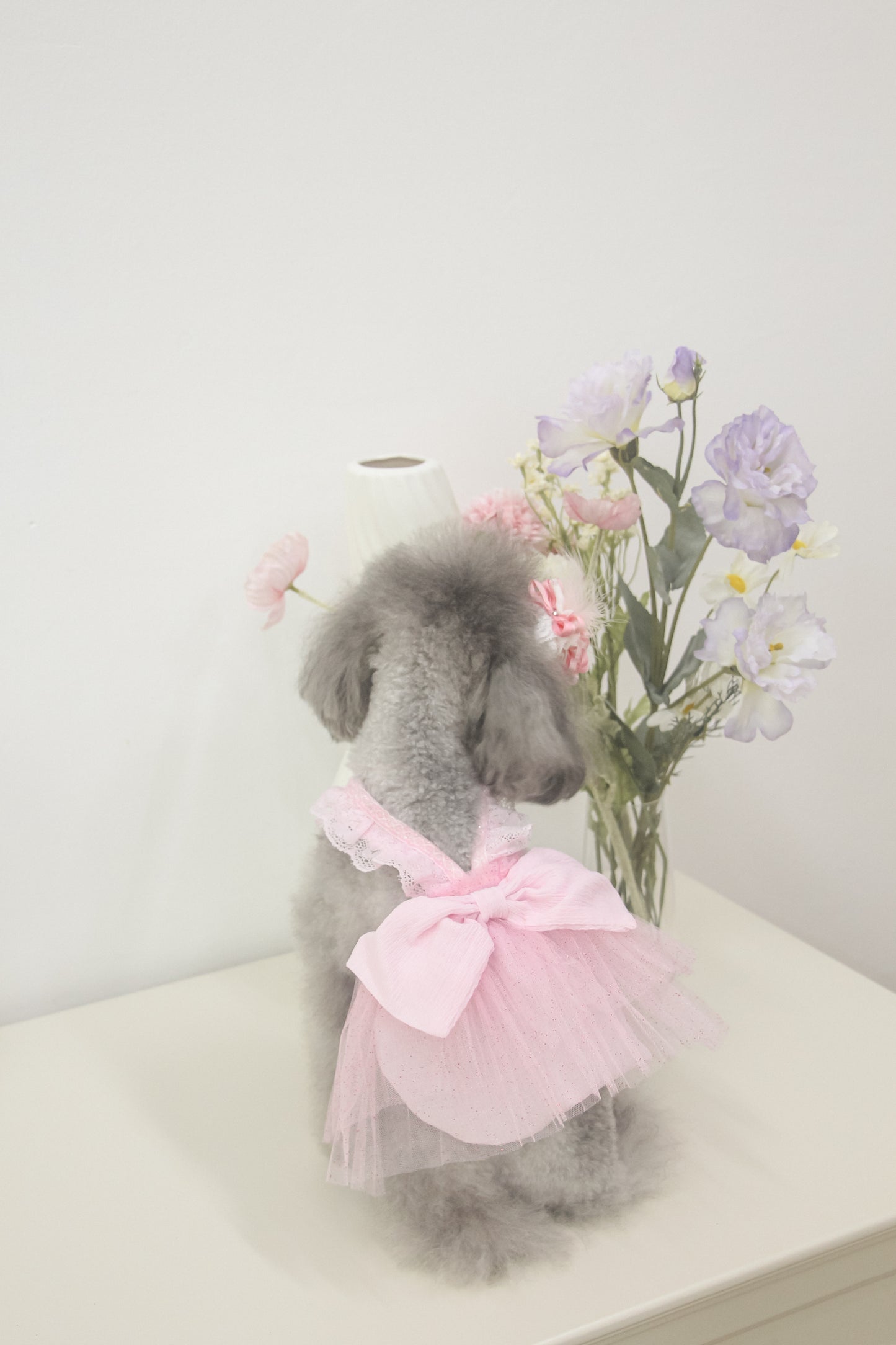 odette dress (fairy pink)