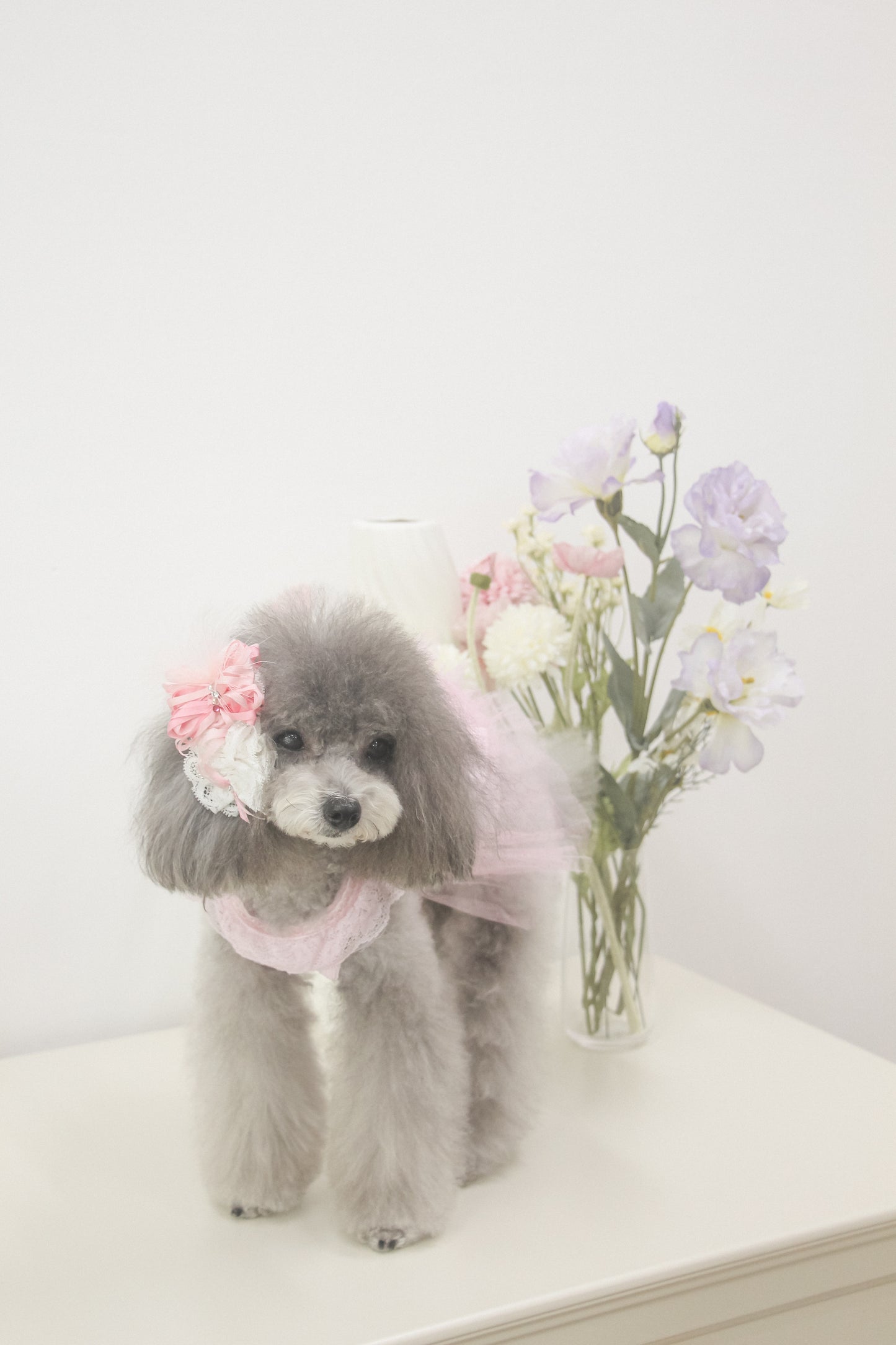 odette dress (fairy pink)