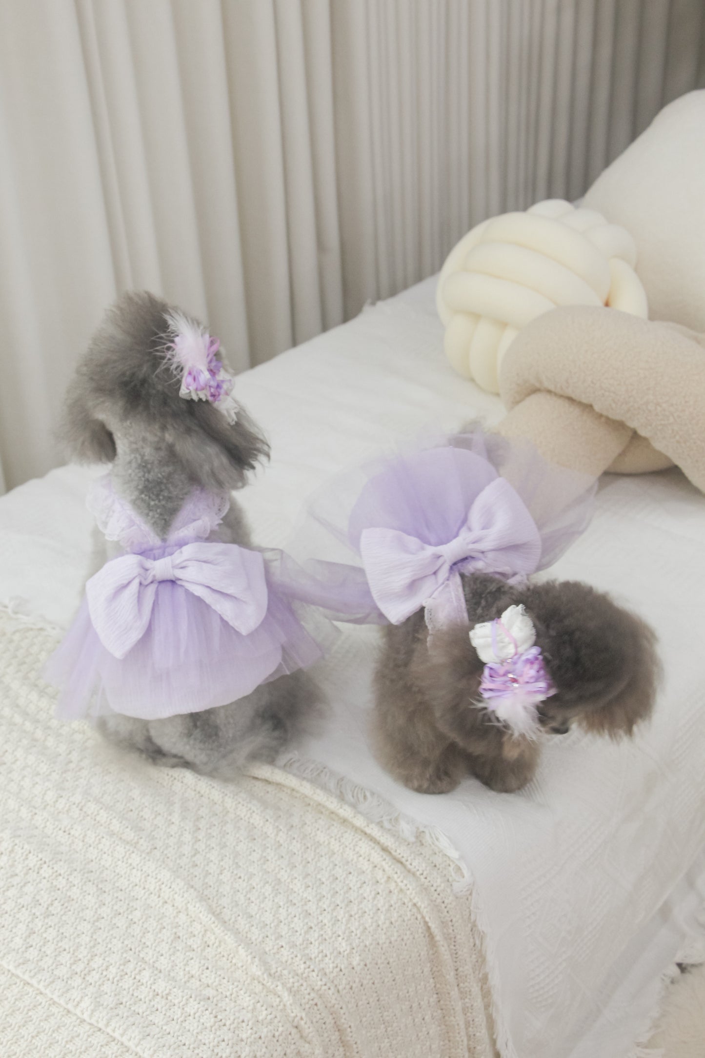 odette dress (pearl lilac)