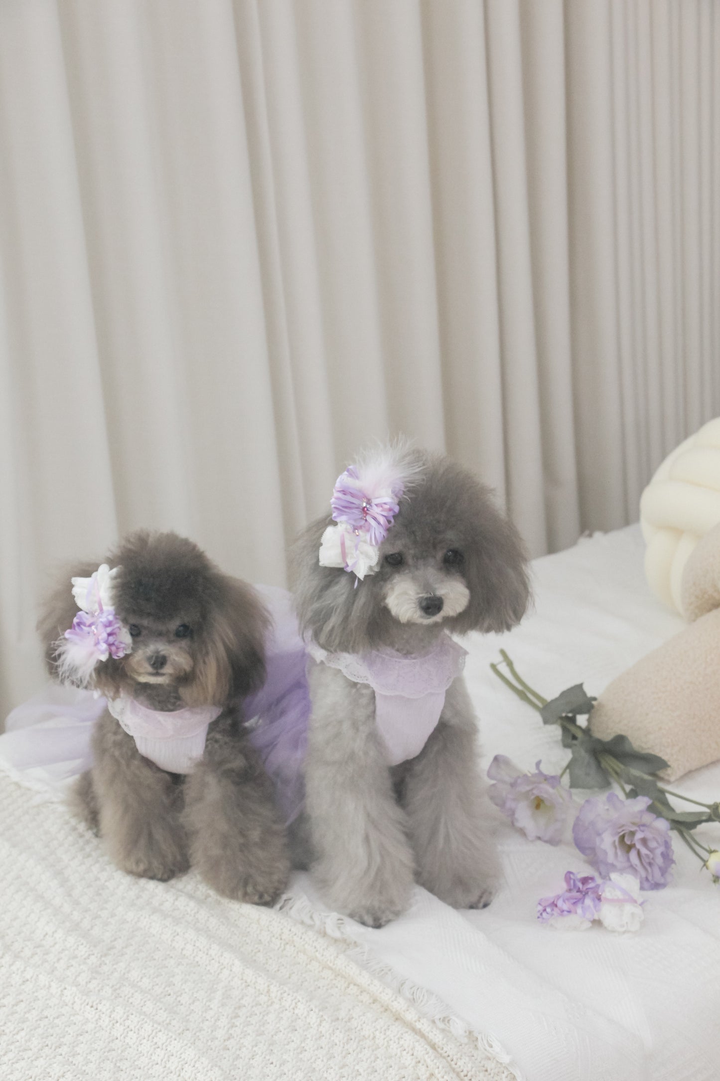 odette dress (pearl lilac)
