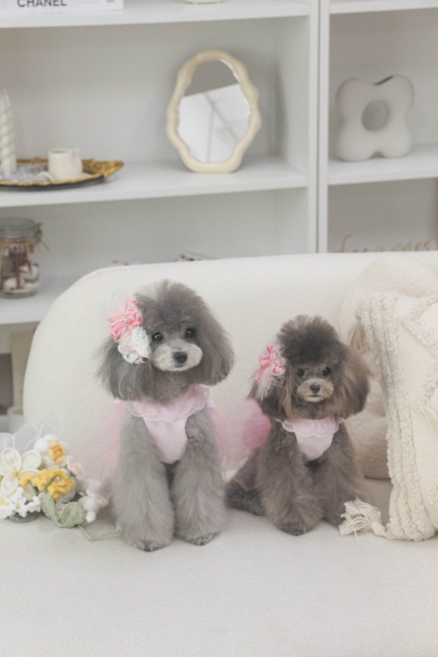 odette dress (fairy pink)