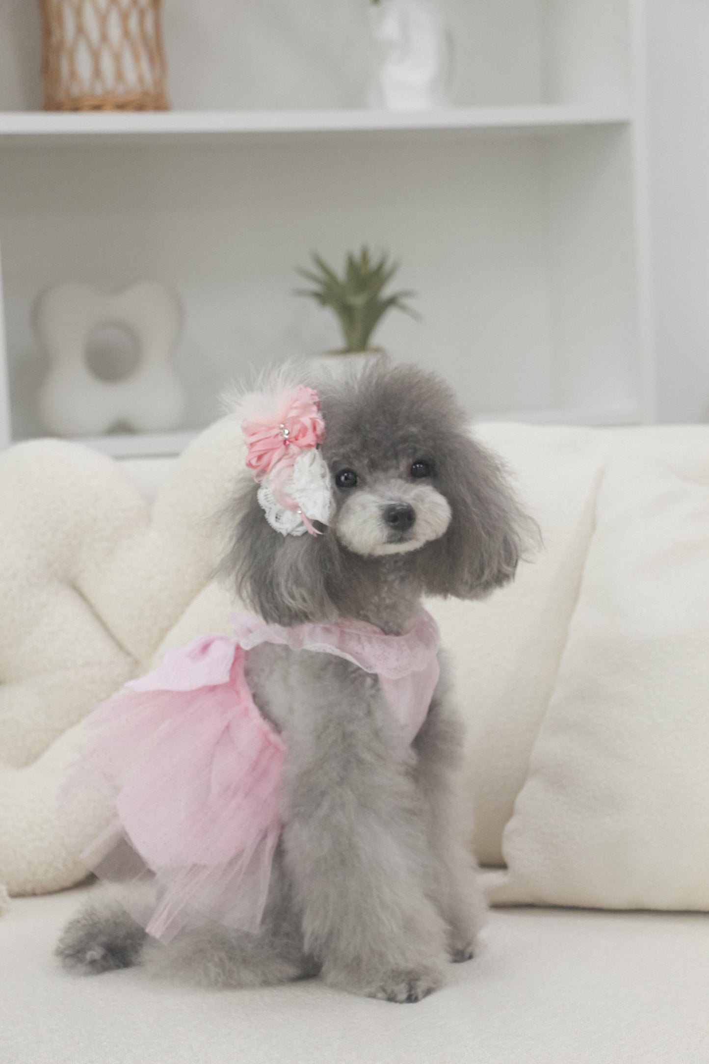 odette dress (fairy pink)