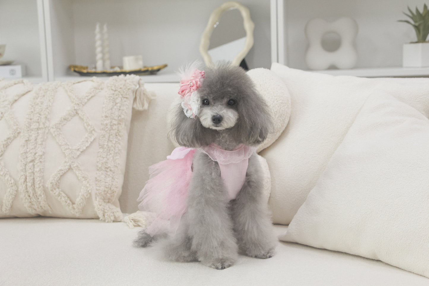 odette dress (fairy pink)