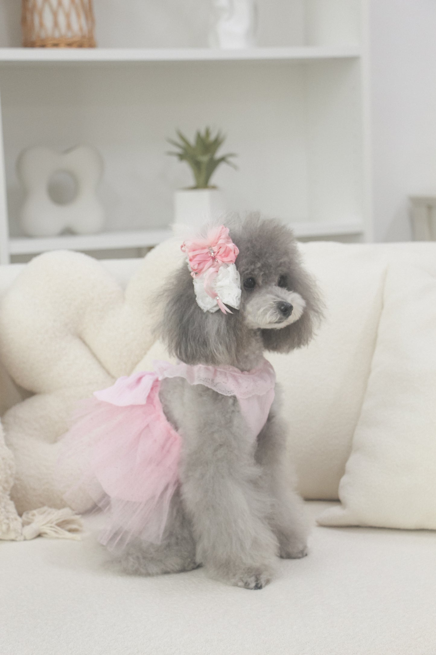 odette dress (fairy pink)