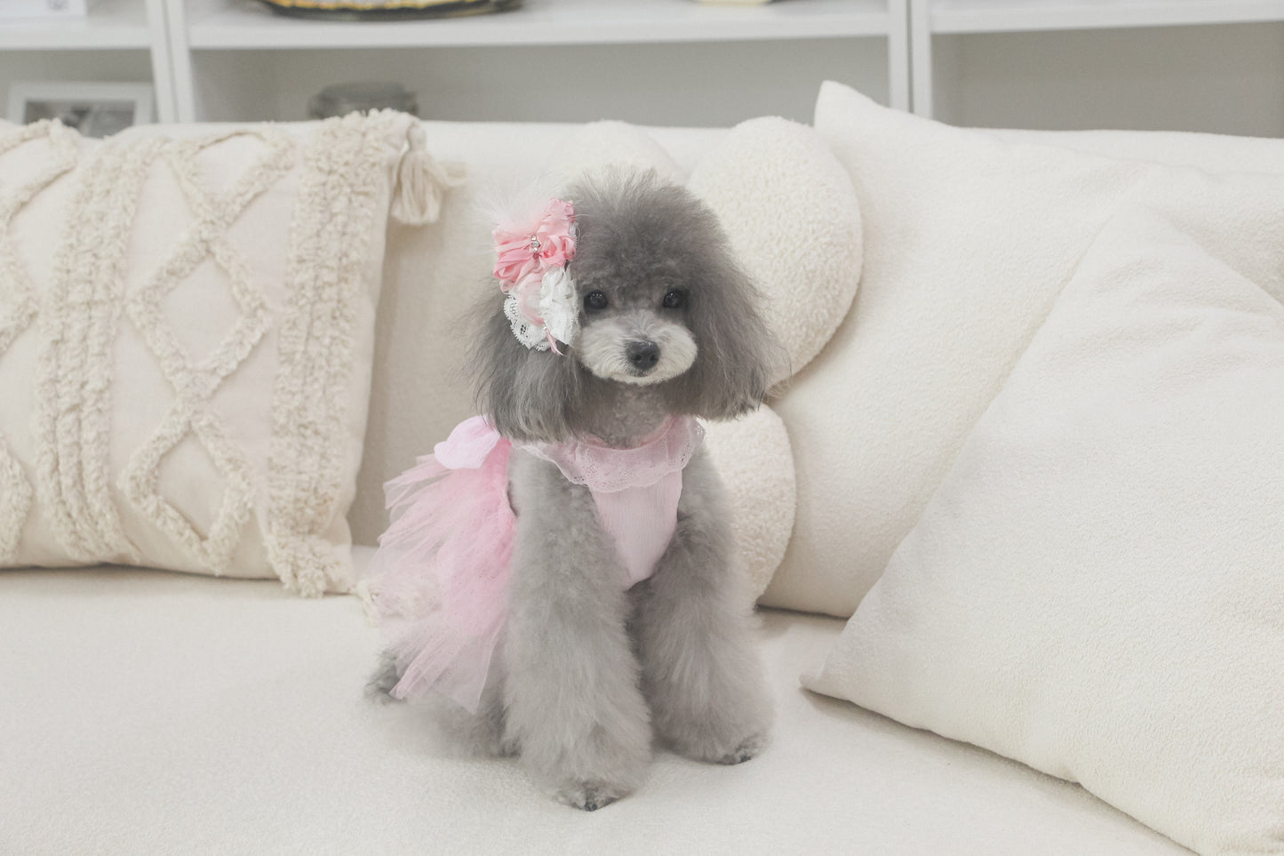 odette dress (fairy pink)