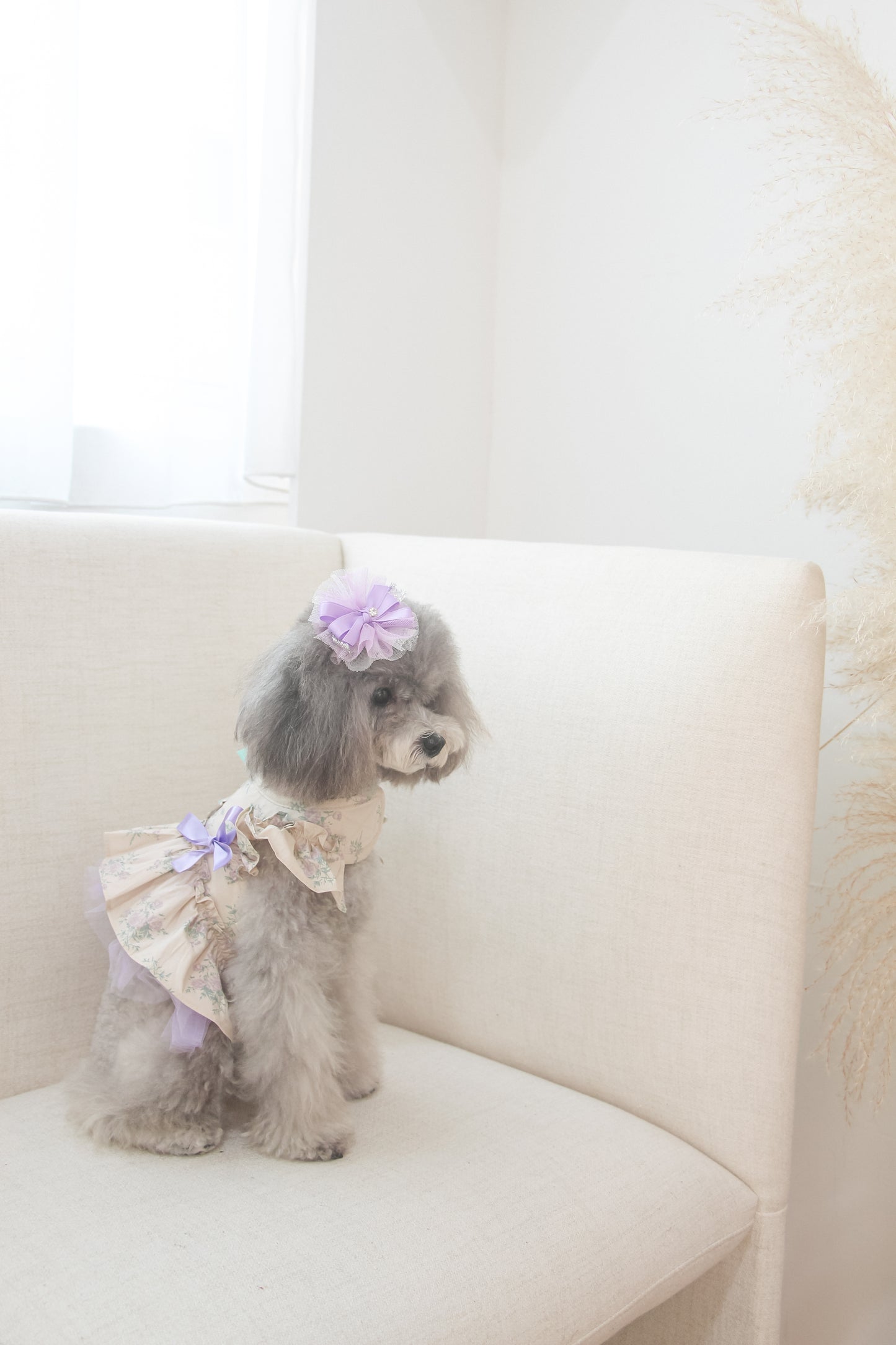 olivia candy ribbon harness