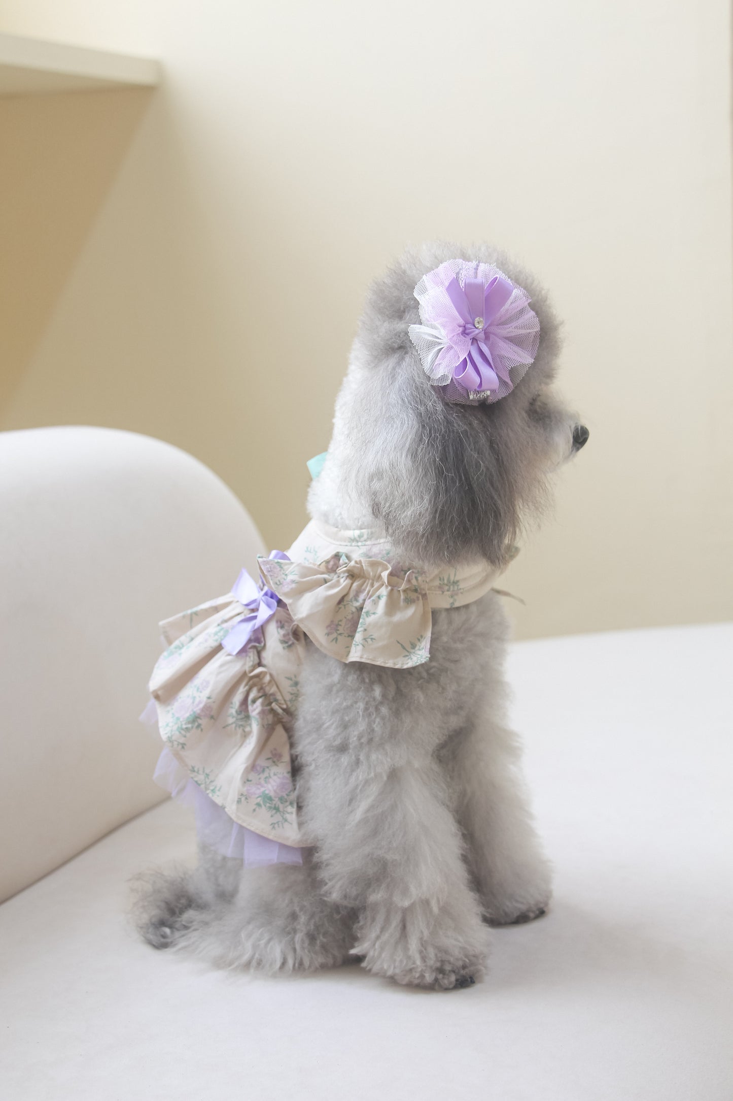 olivia candy ribbon harness