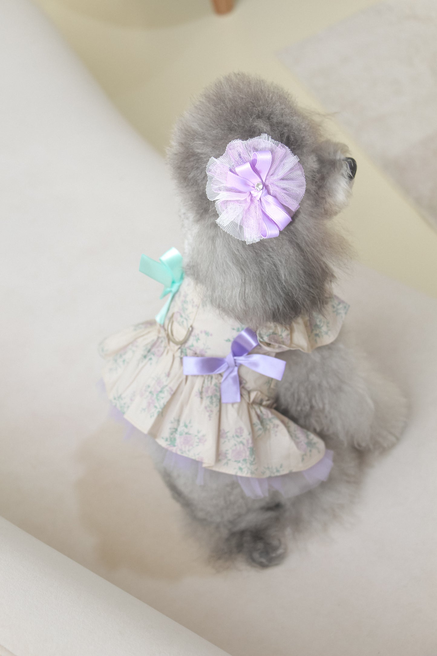 olivia candy ribbon harness