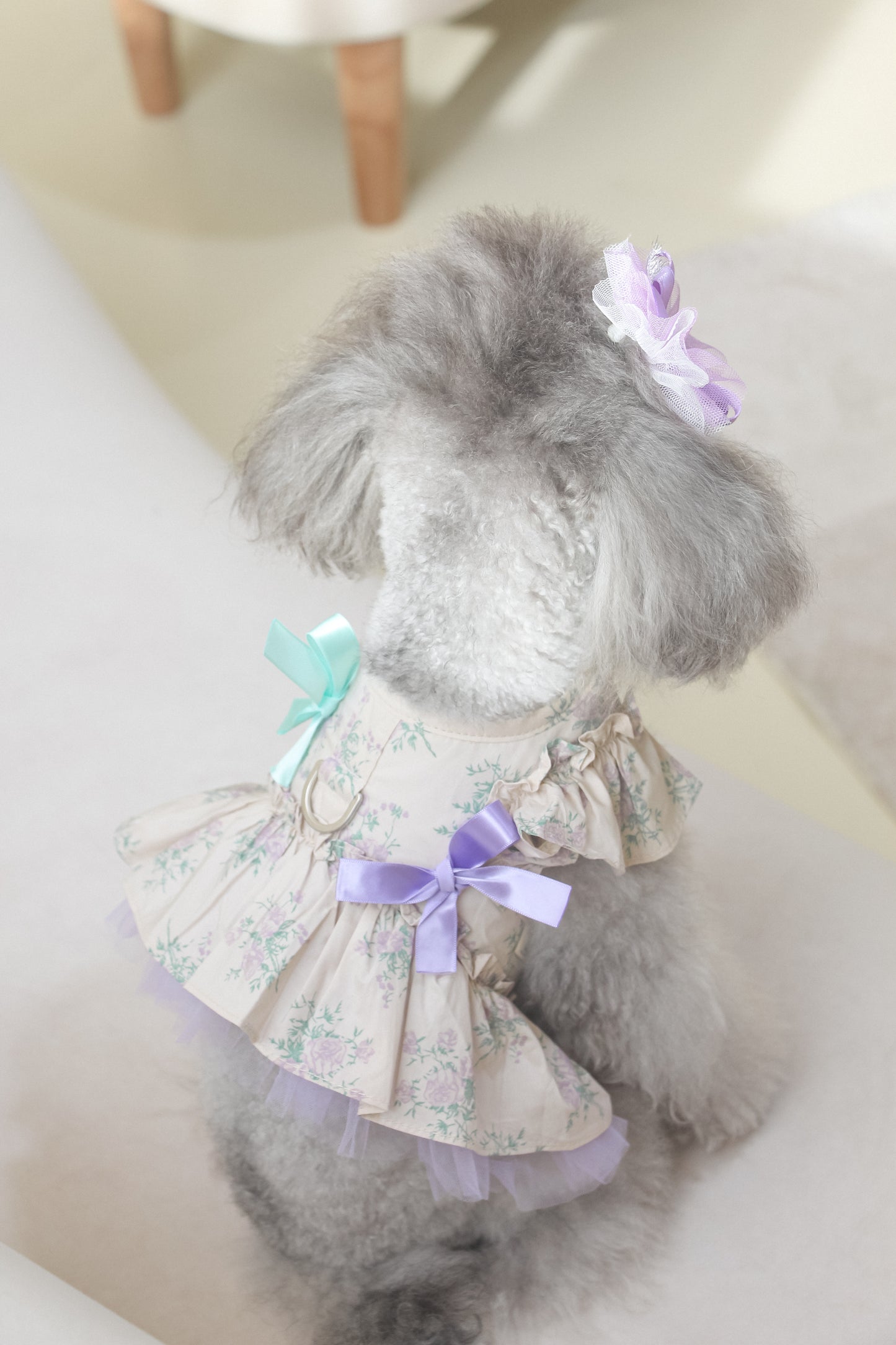 olivia candy ribbon harness
