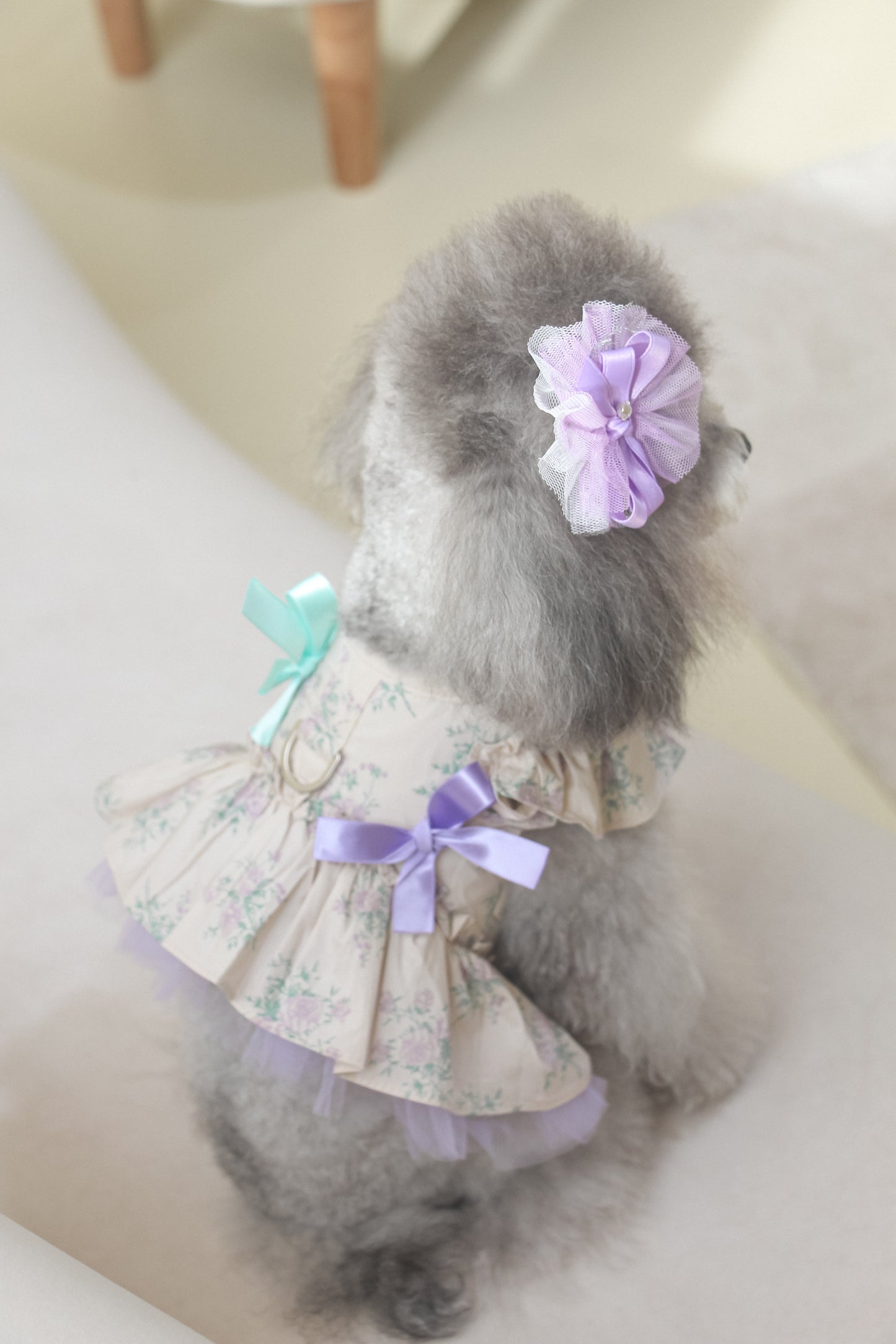 olivia candy ribbon harness