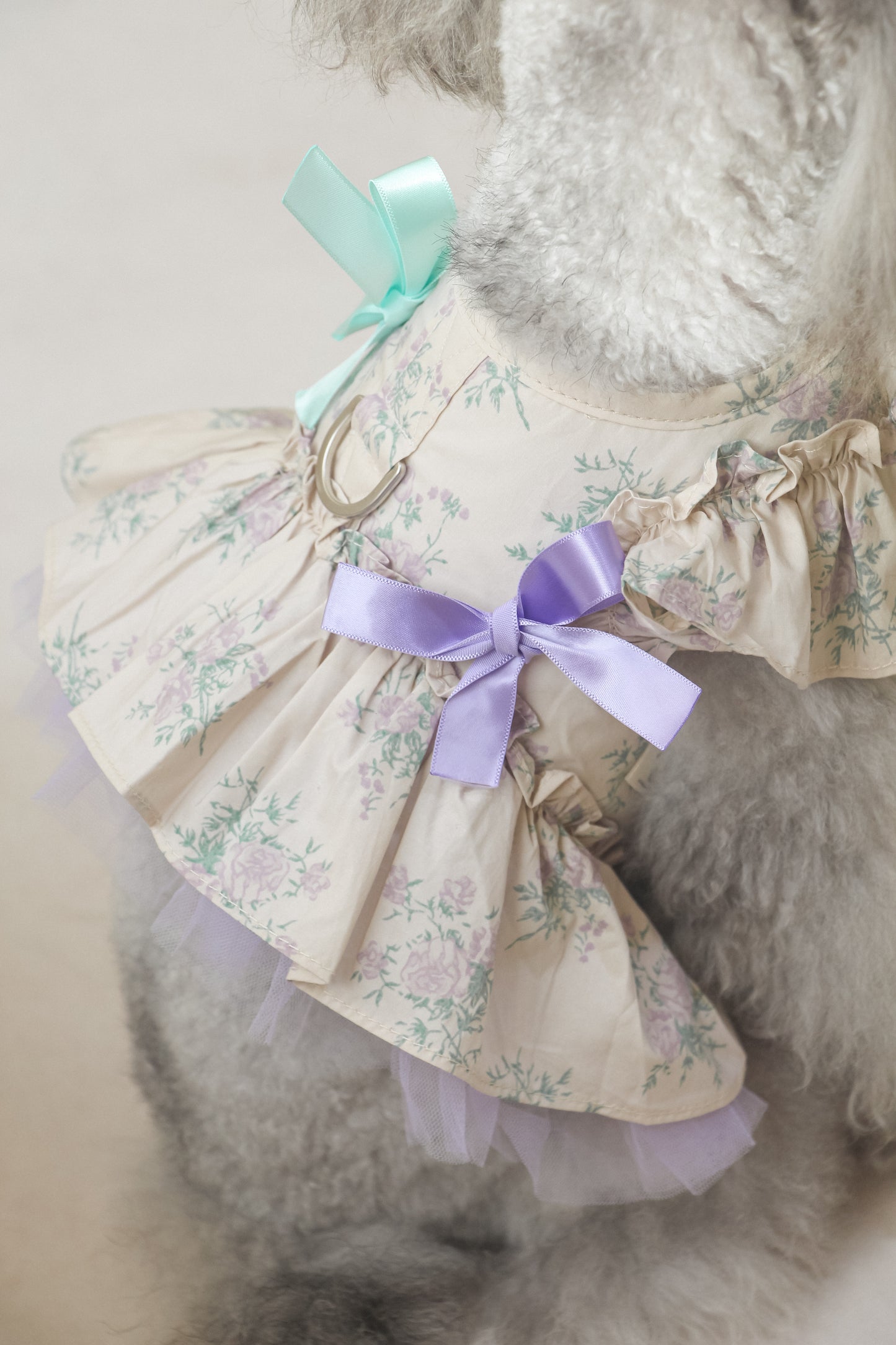 olivia candy ribbon harness