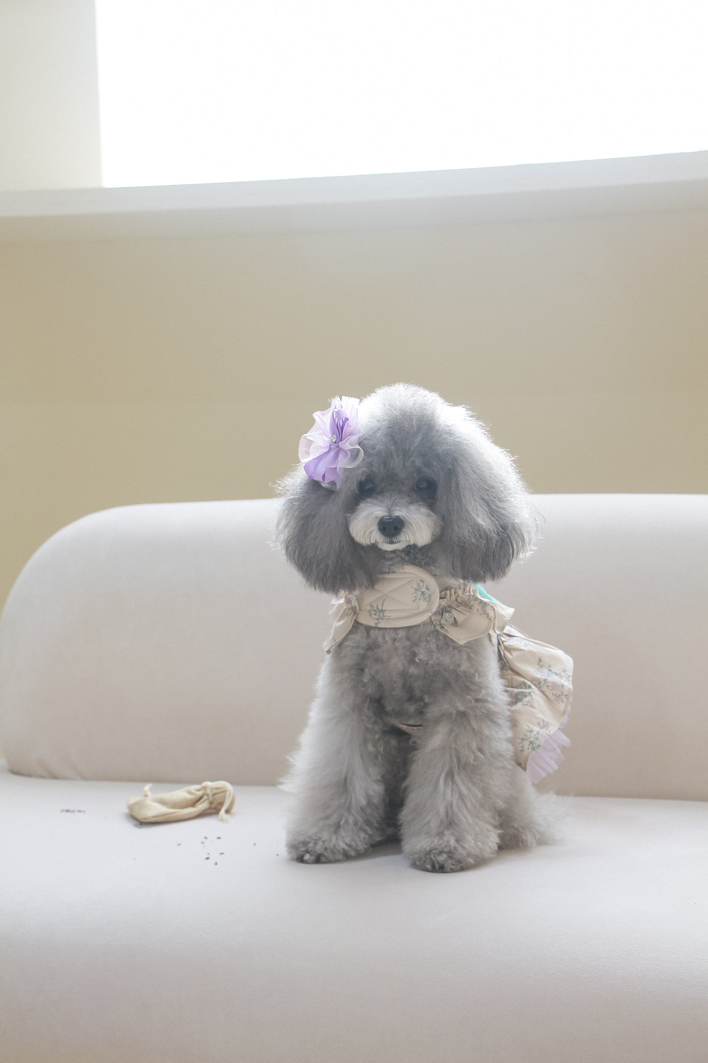 olivia candy ribbon harness
