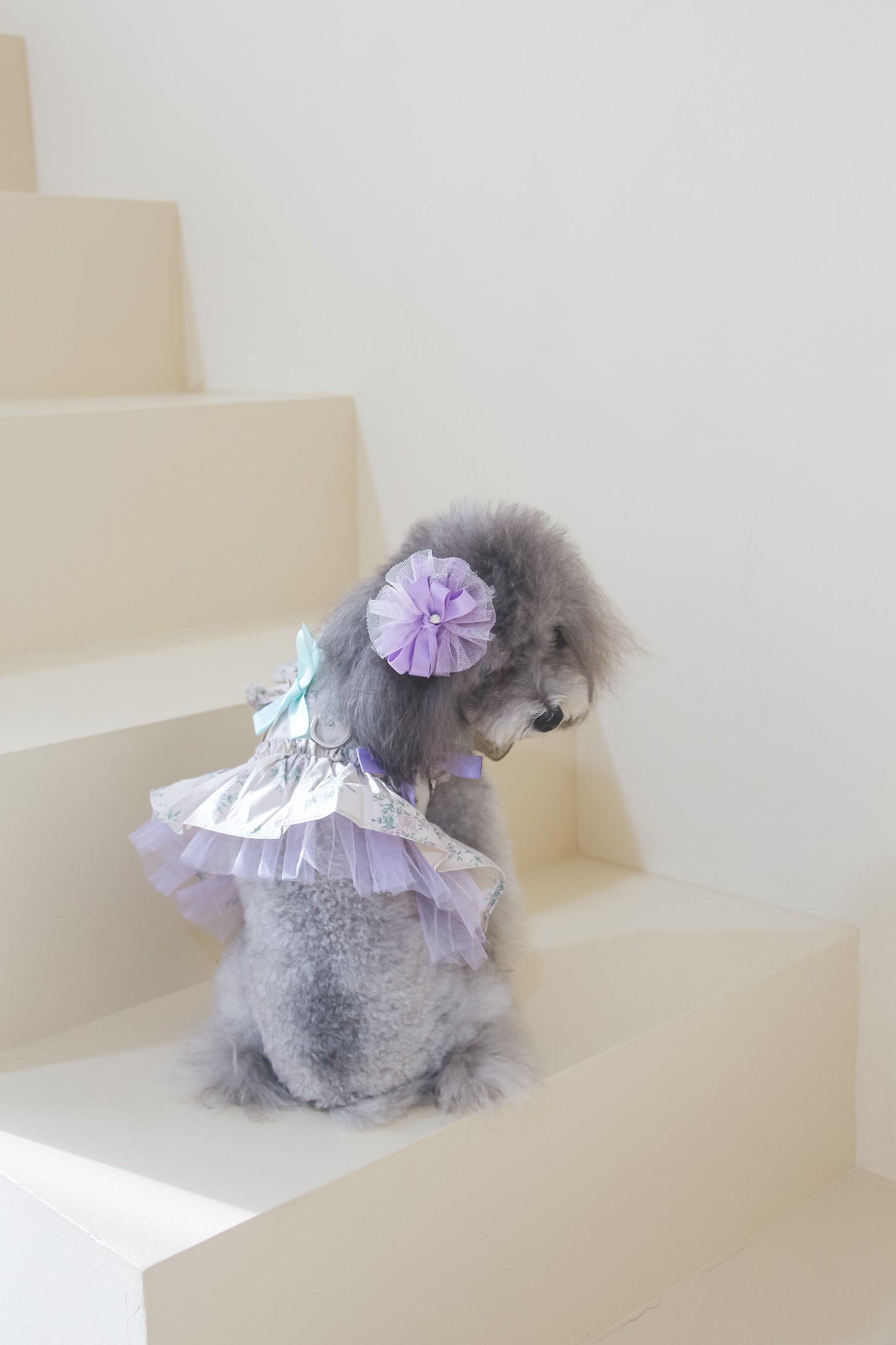 olivia candy ribbon harness