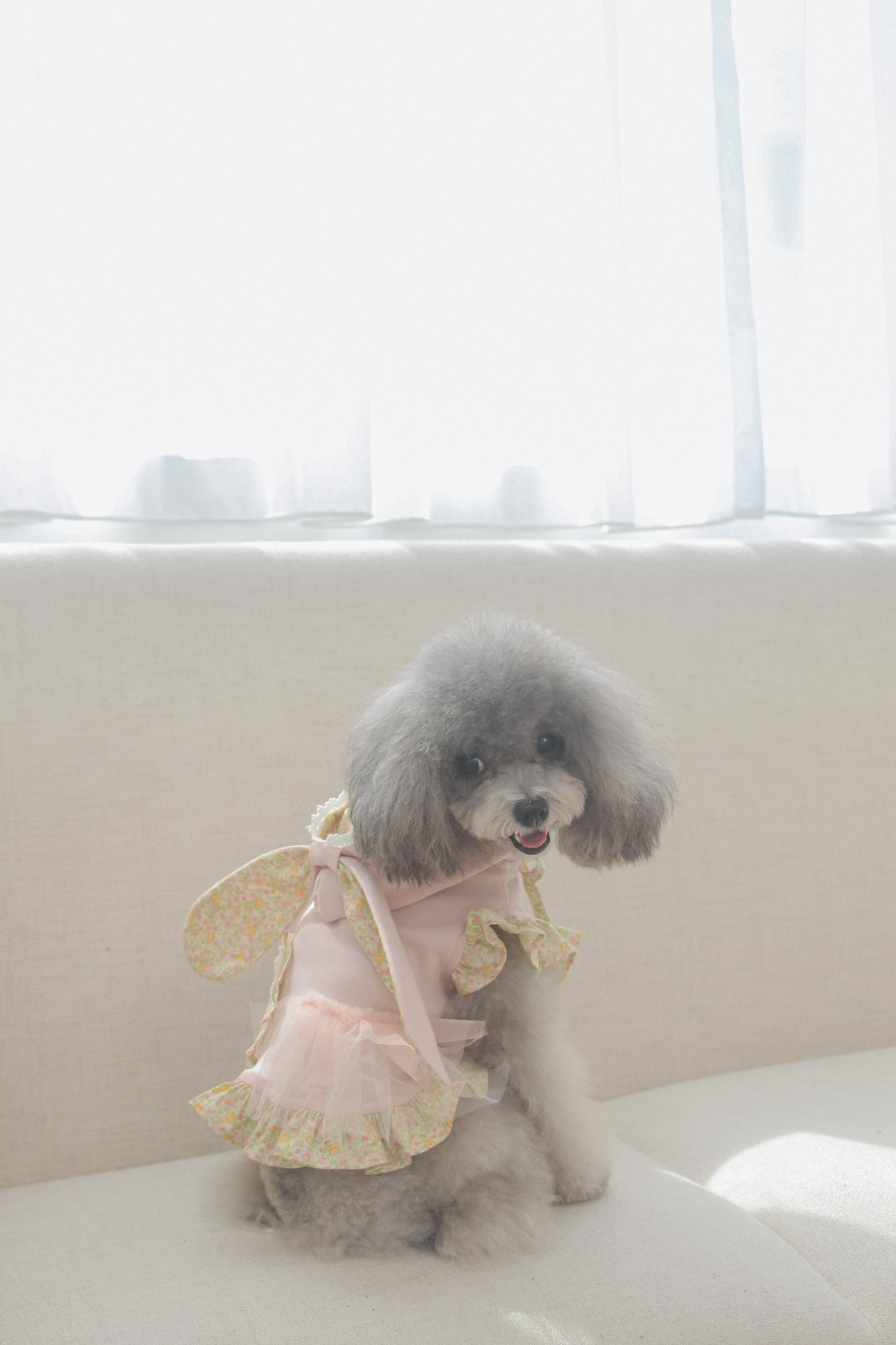 couture bunny hoodie (pink)