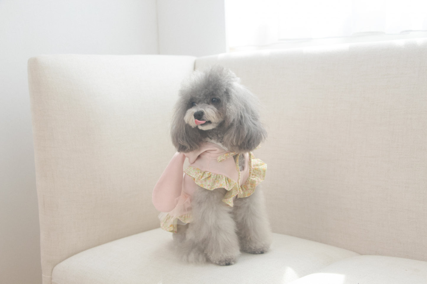 couture bunny hoodie (pink)