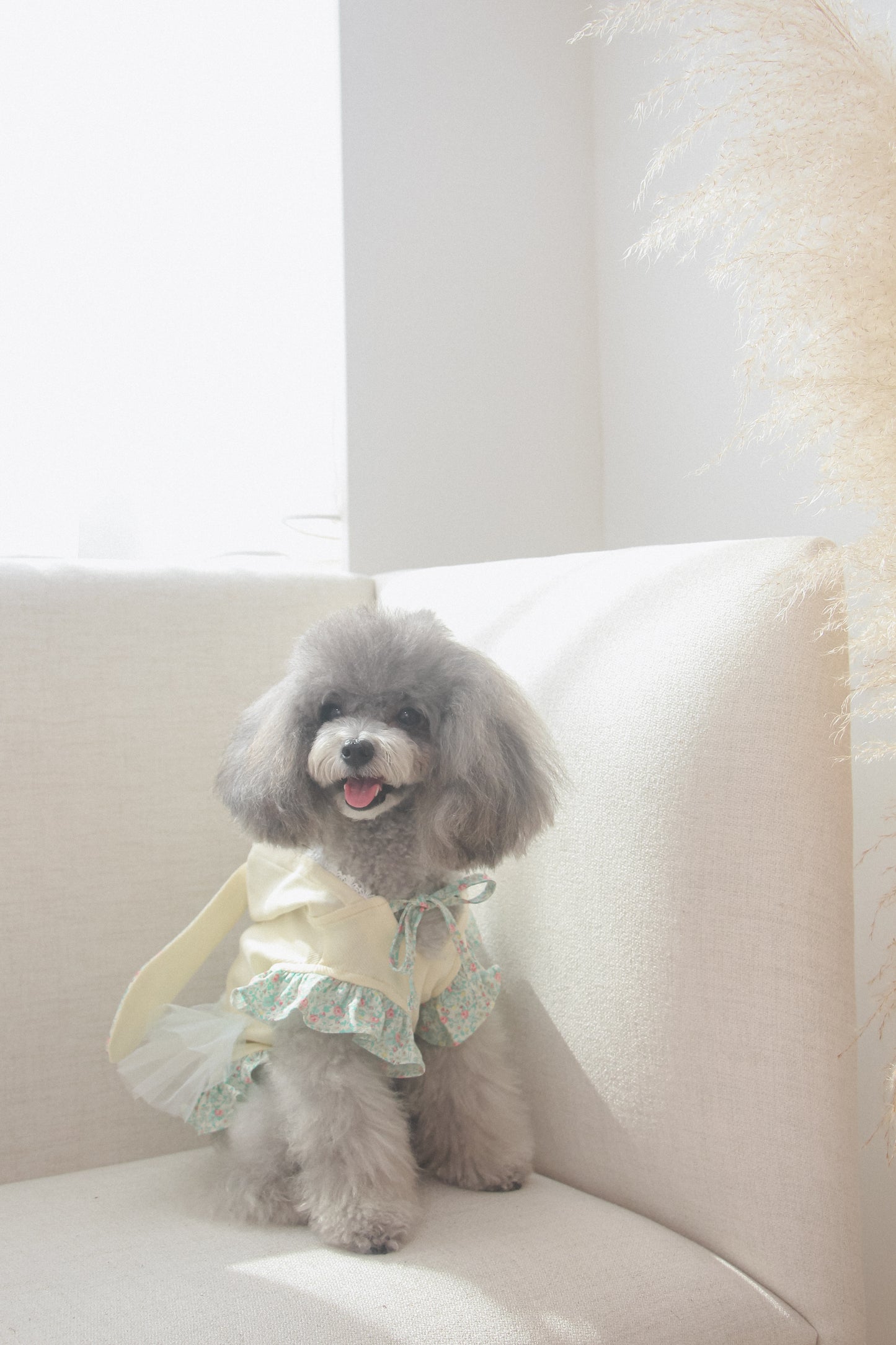 couture bunny hoodie (yellow)