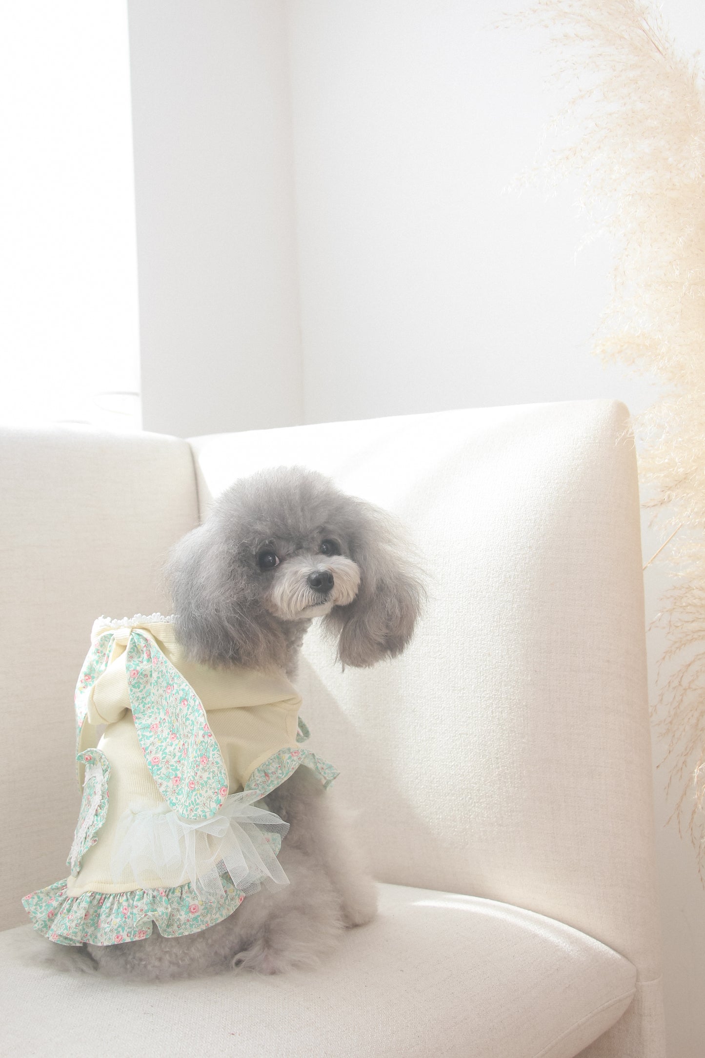 couture bunny hoodie (yellow)