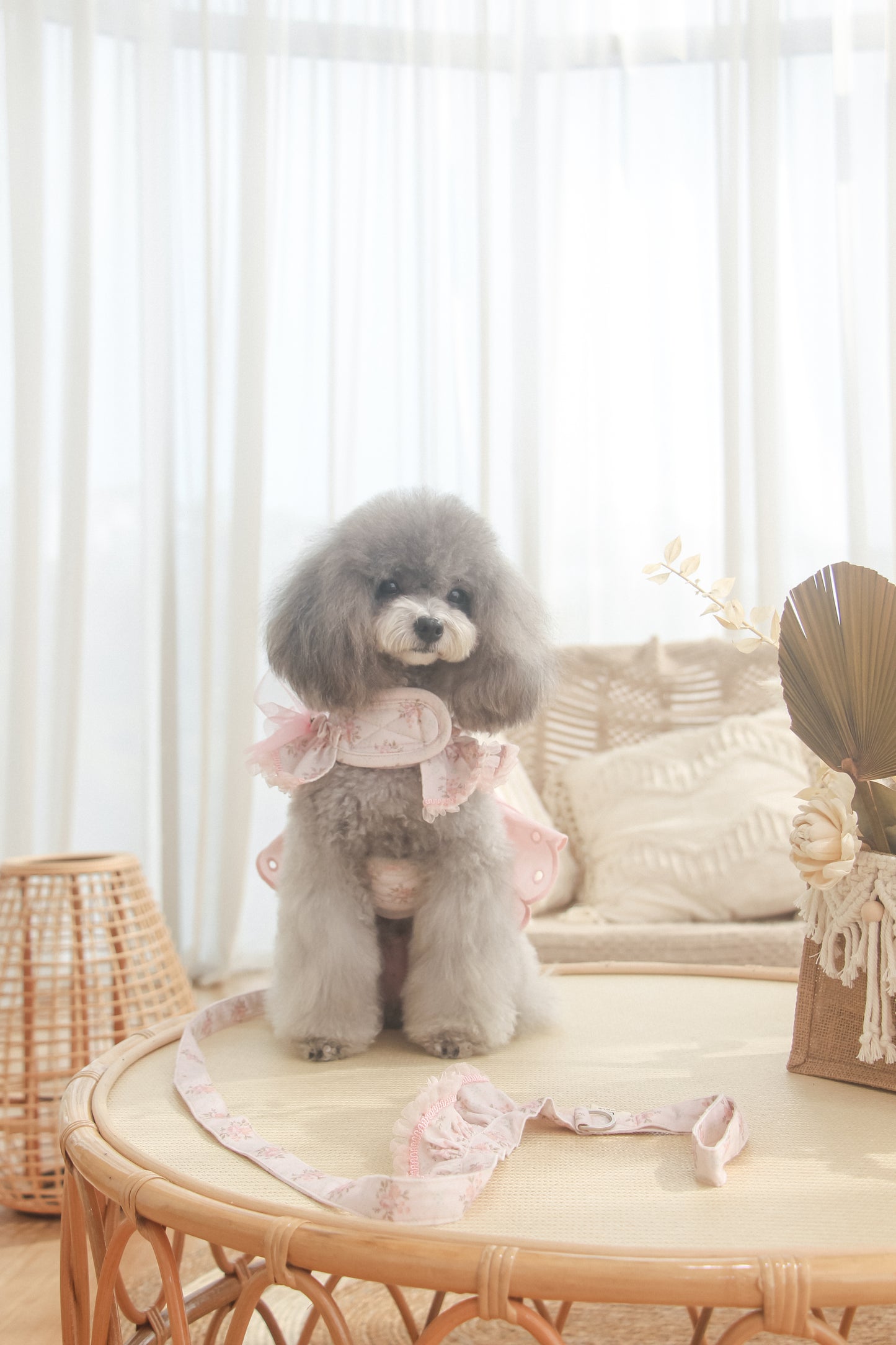juliet leash (version 2 – pink)