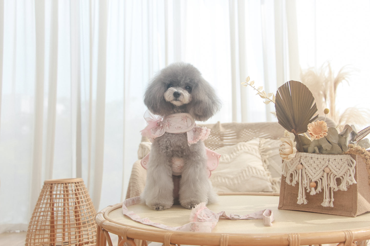 juliet leash (version 2 – pink)