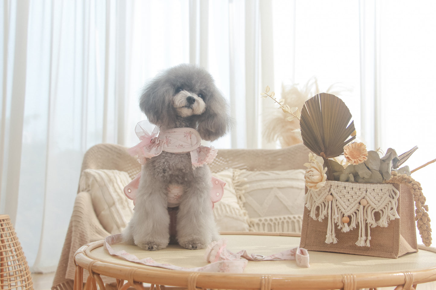 juliet leash (version 2 – pink)