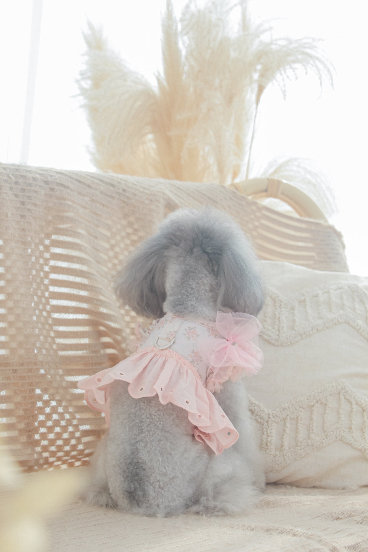 juliet tutu ribbon brooch