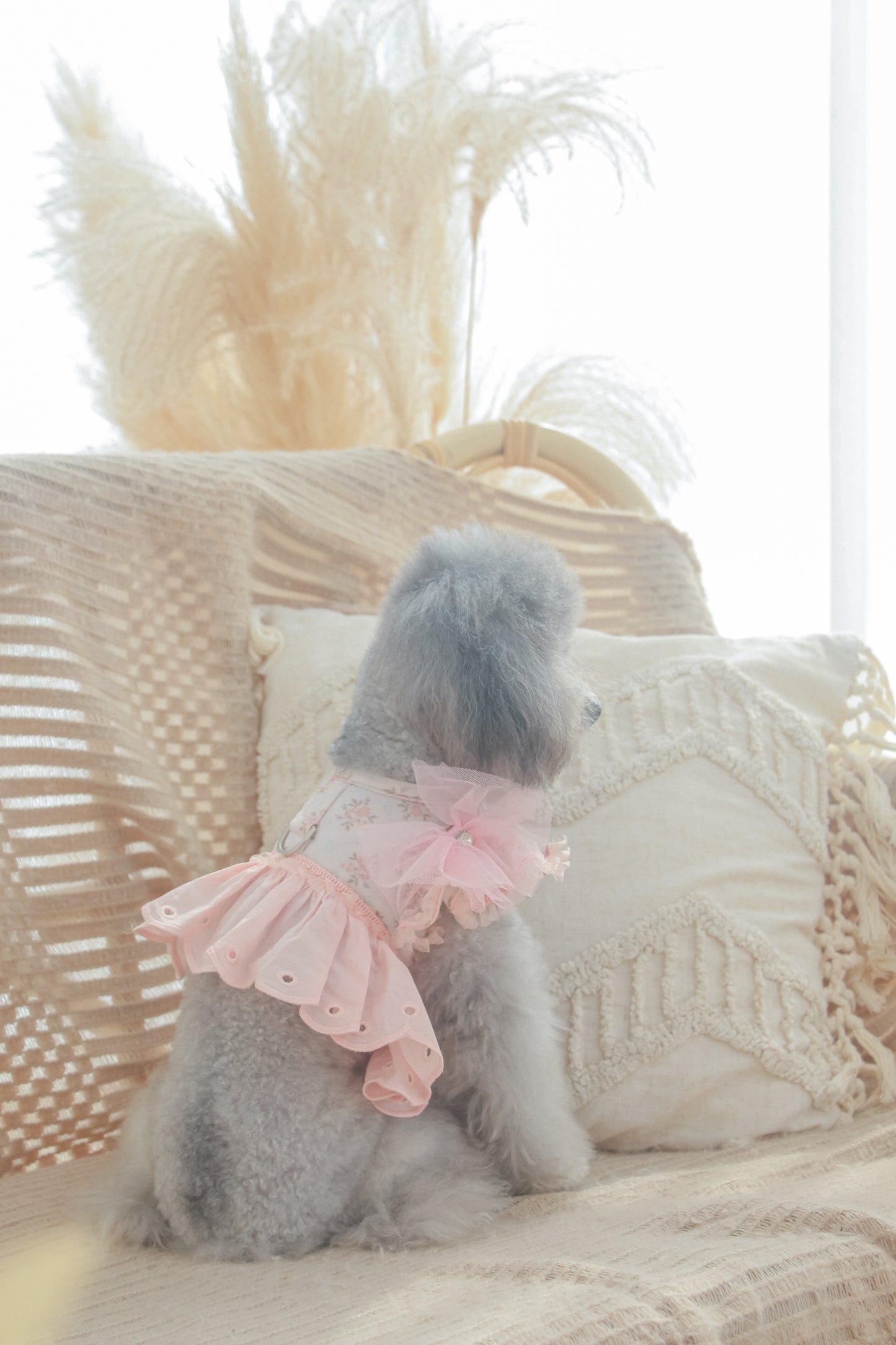 juliet tutu ribbon brooch