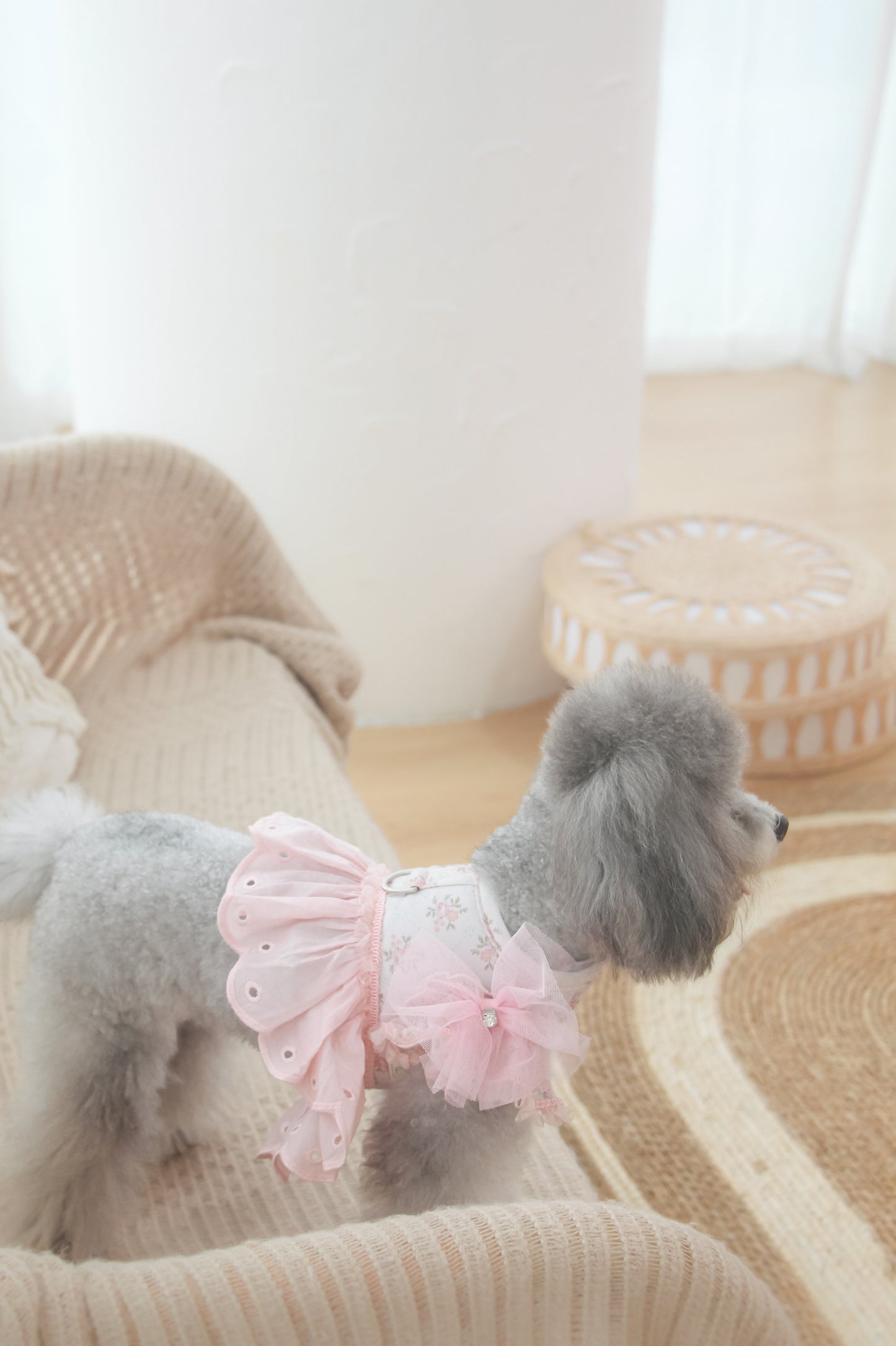 juliet tutu ribbon brooch