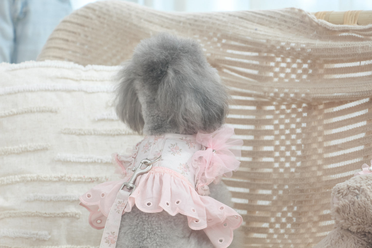 juliet leash (version 2 – pink)