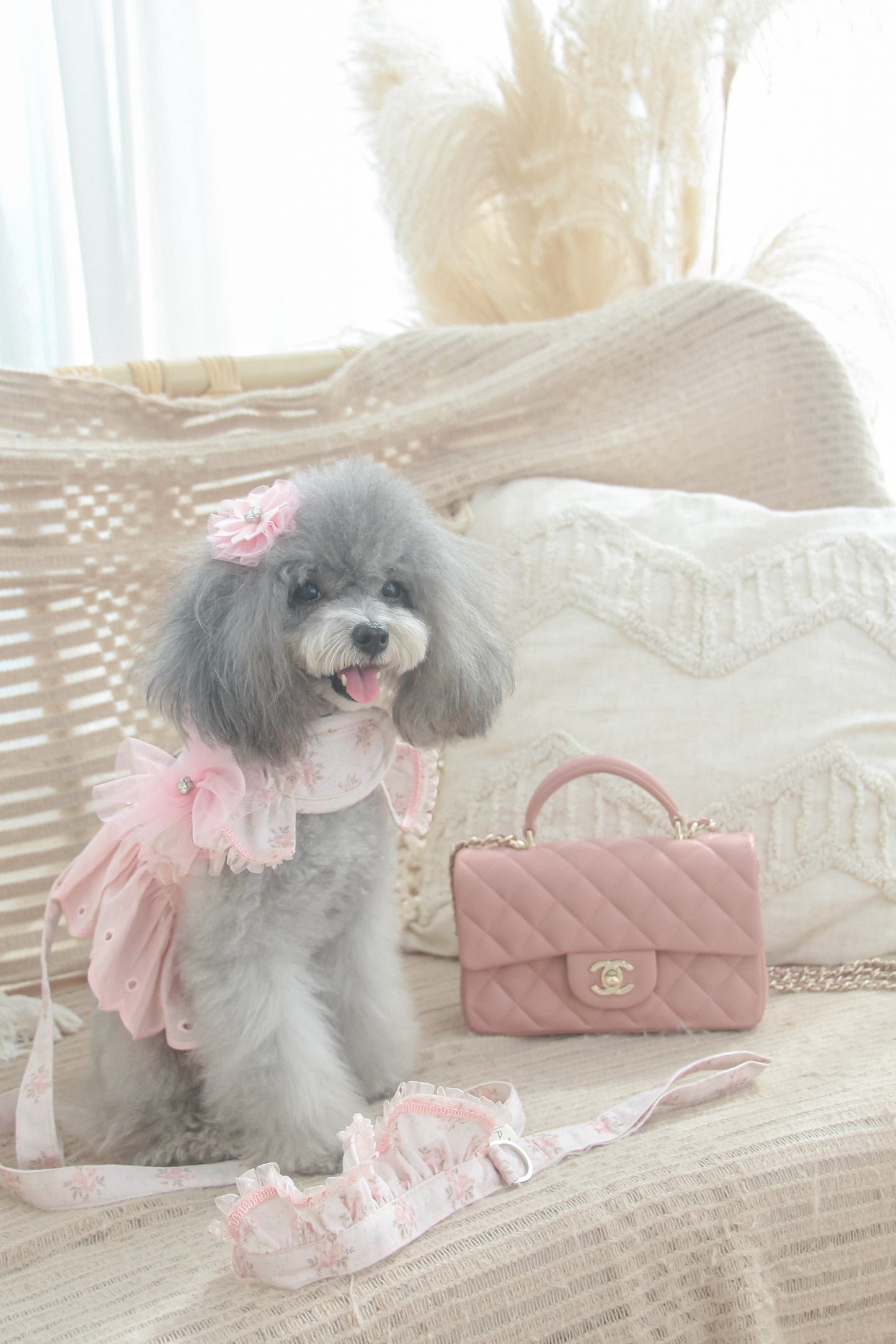 juliet leash (version 2 – pink)