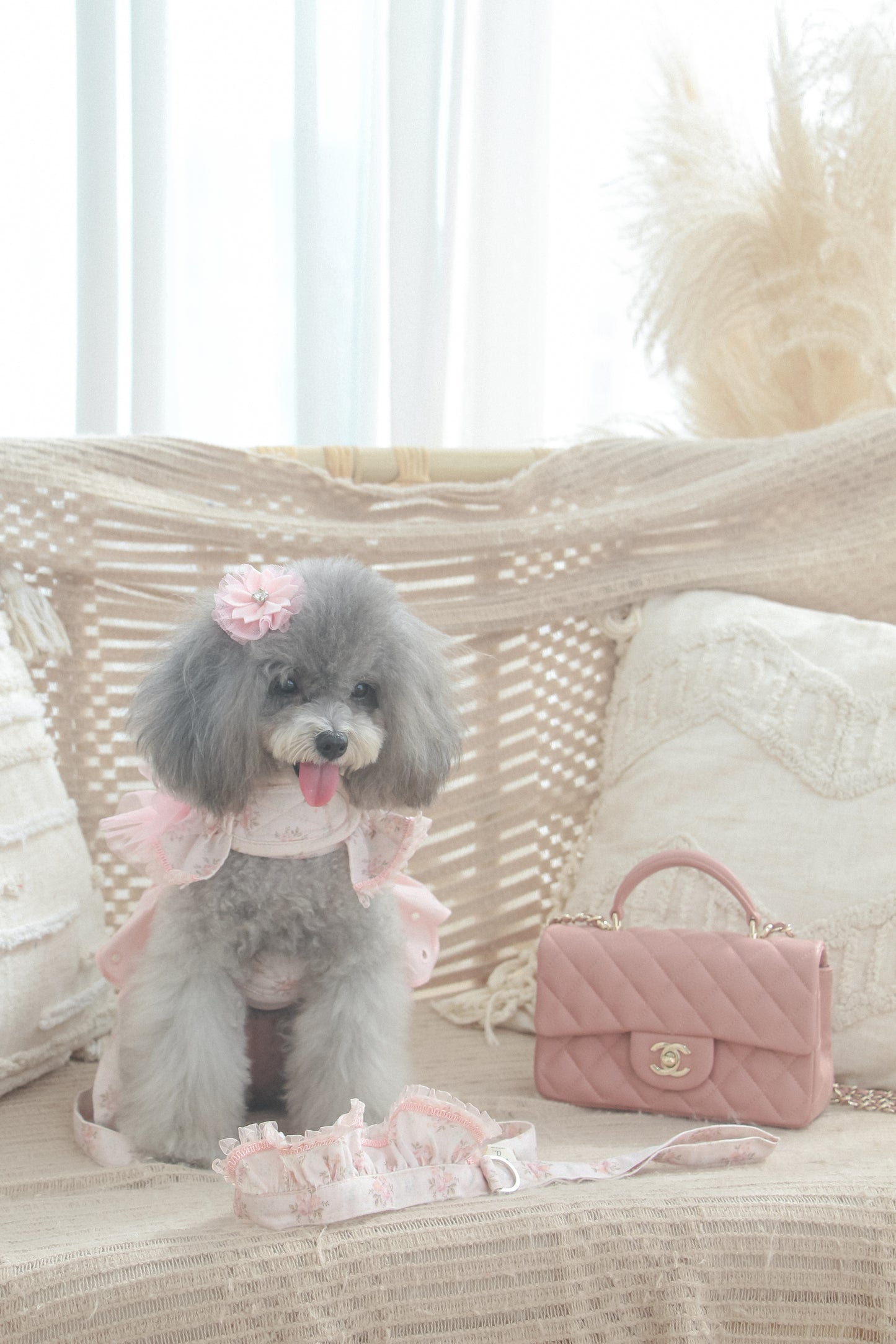 juliet leash (version 2 – pink)