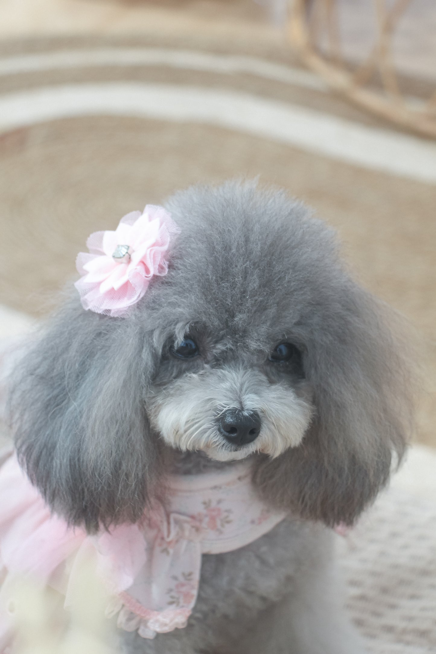 juliet flower hairpin
