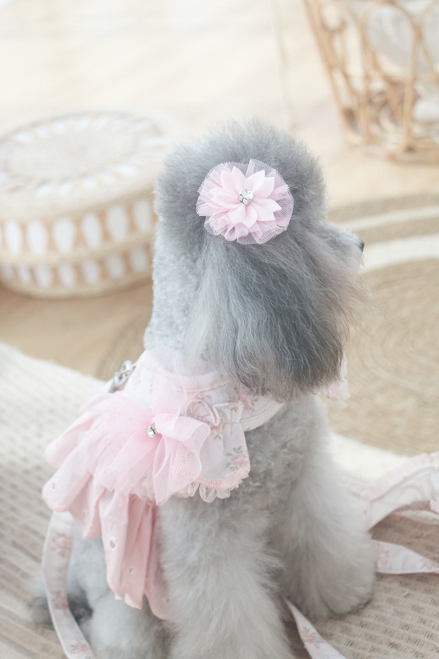 juliet tutu ribbon brooch