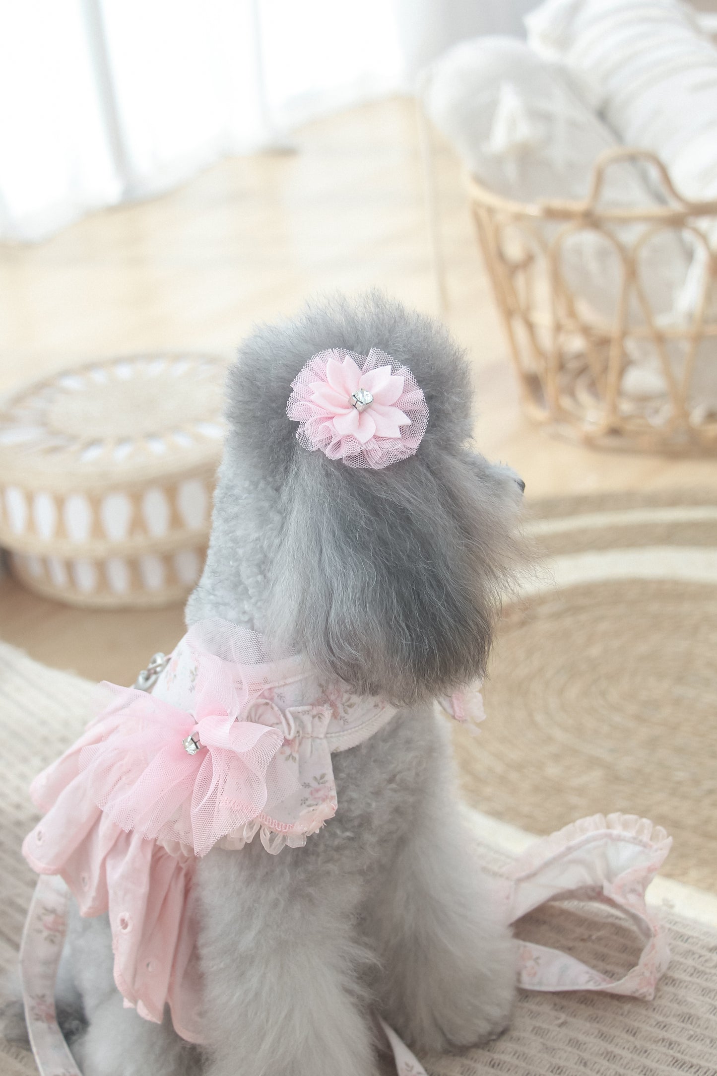 juliet tutu ribbon brooch