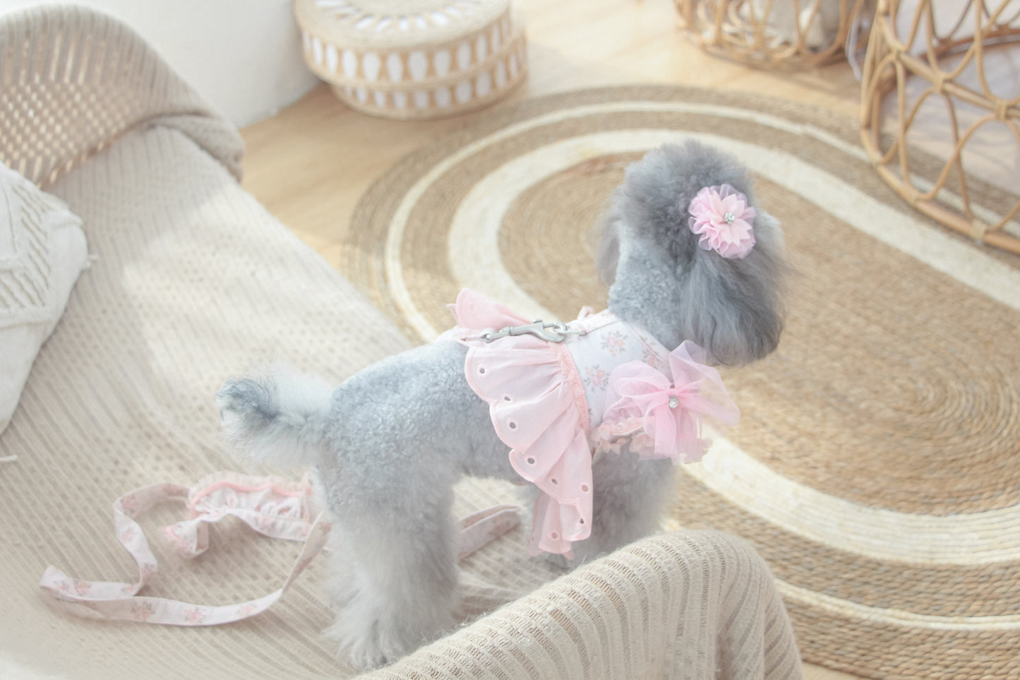 juliet tutu ribbon brooch