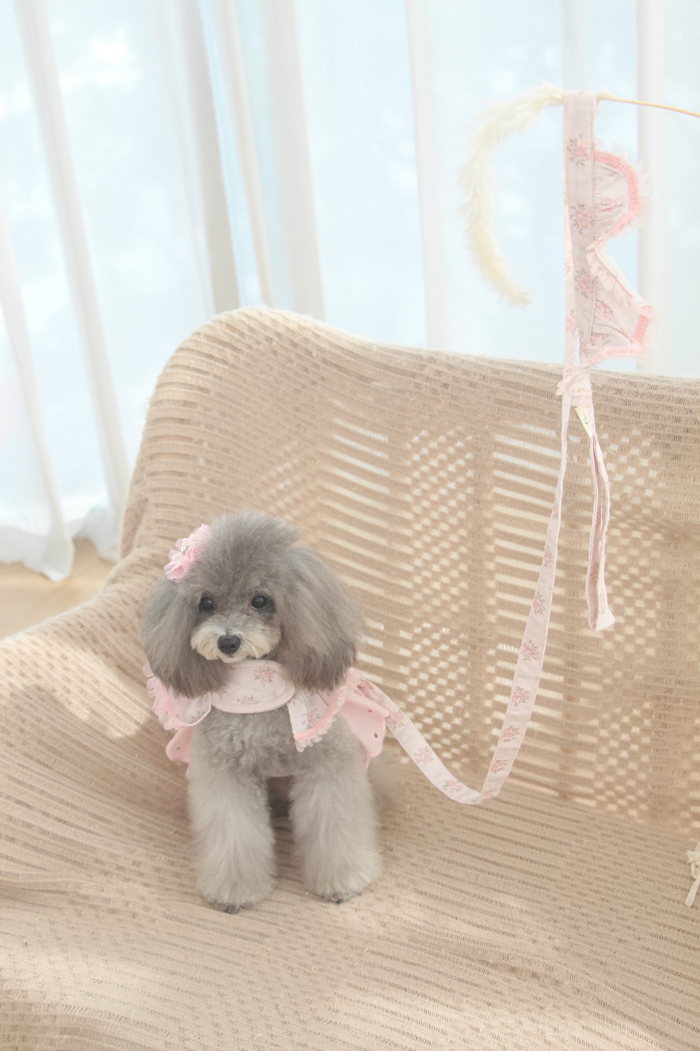 juliet leash (version 2 – pink)