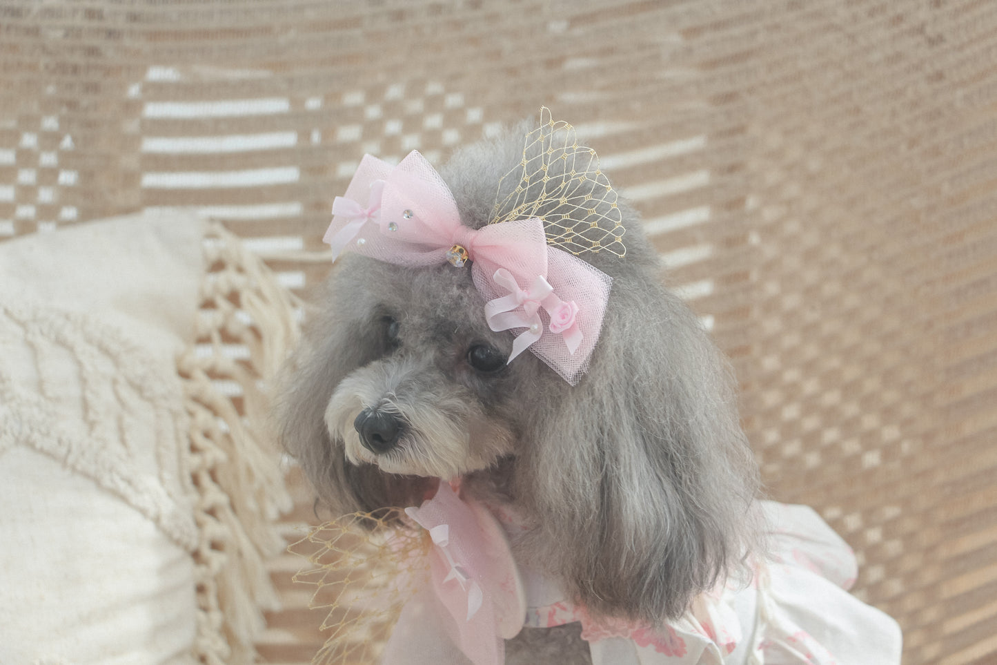 elysia ribbon hairpin (2 colours)