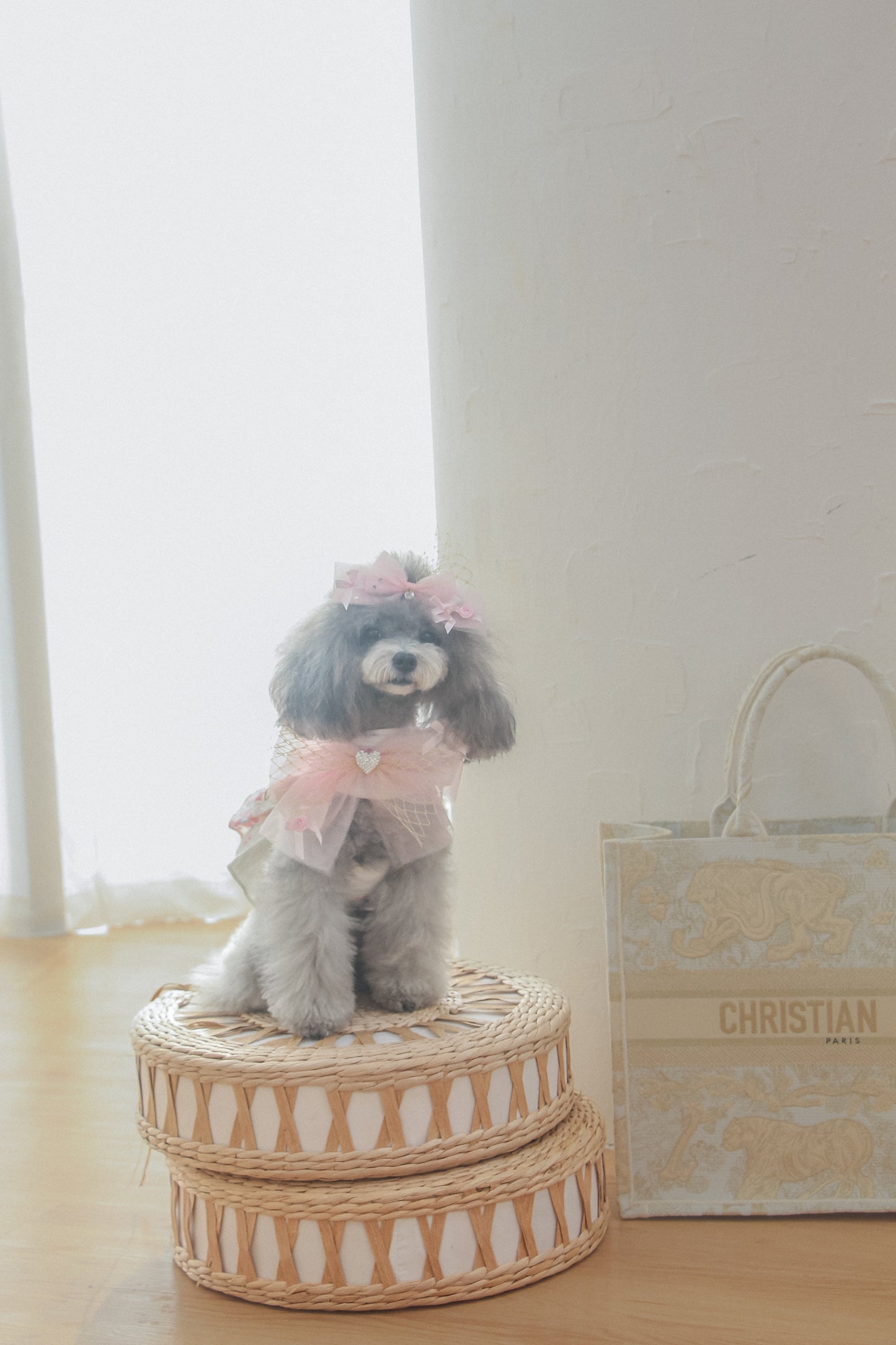 elysia harness (pink)