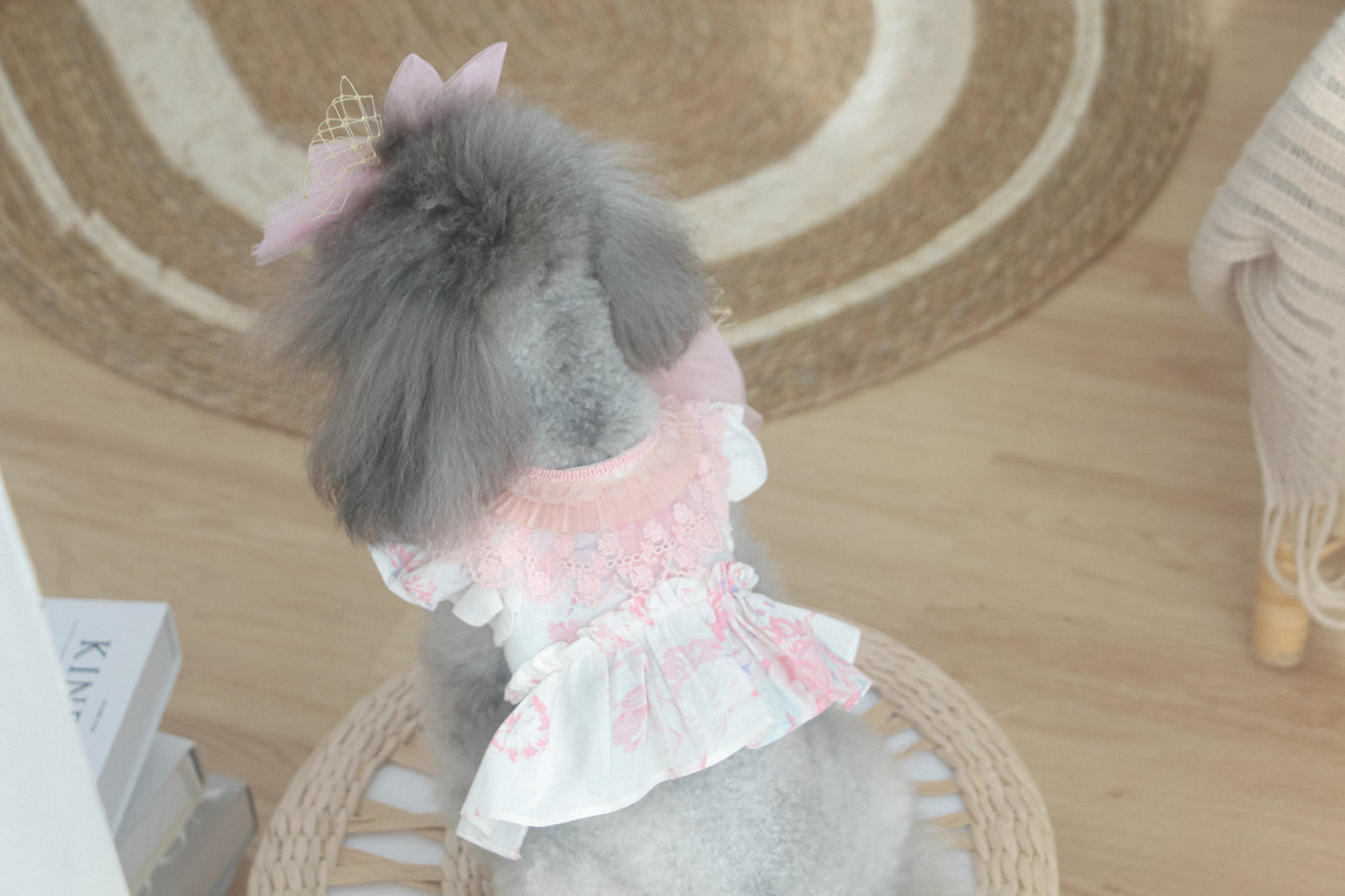 elysia harness (pink)