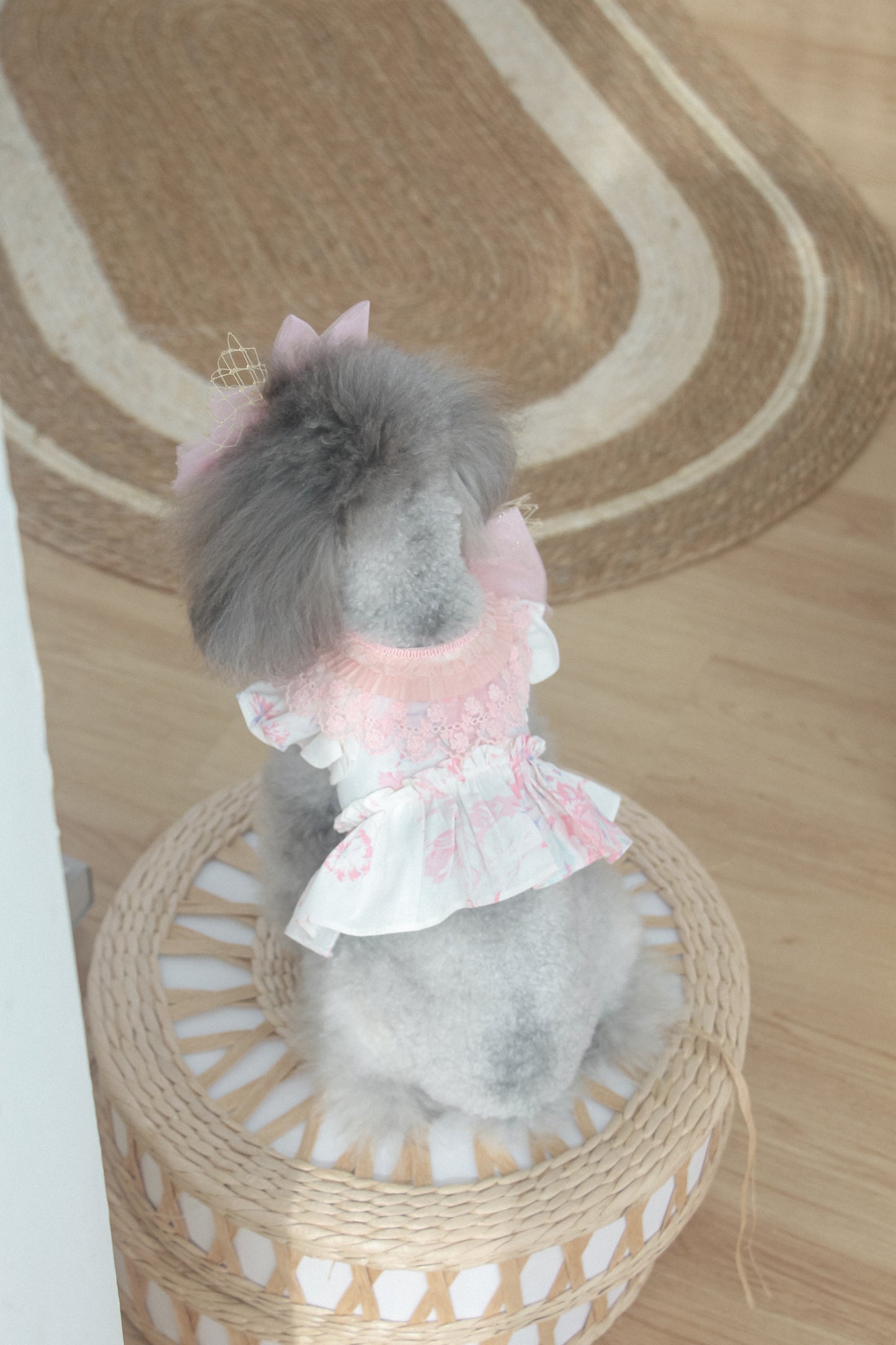 elysia harness (pink)