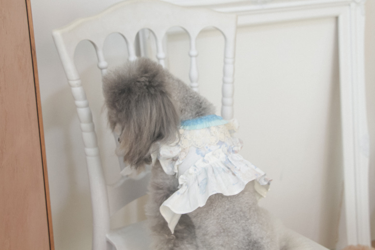 elysia harness (blue)