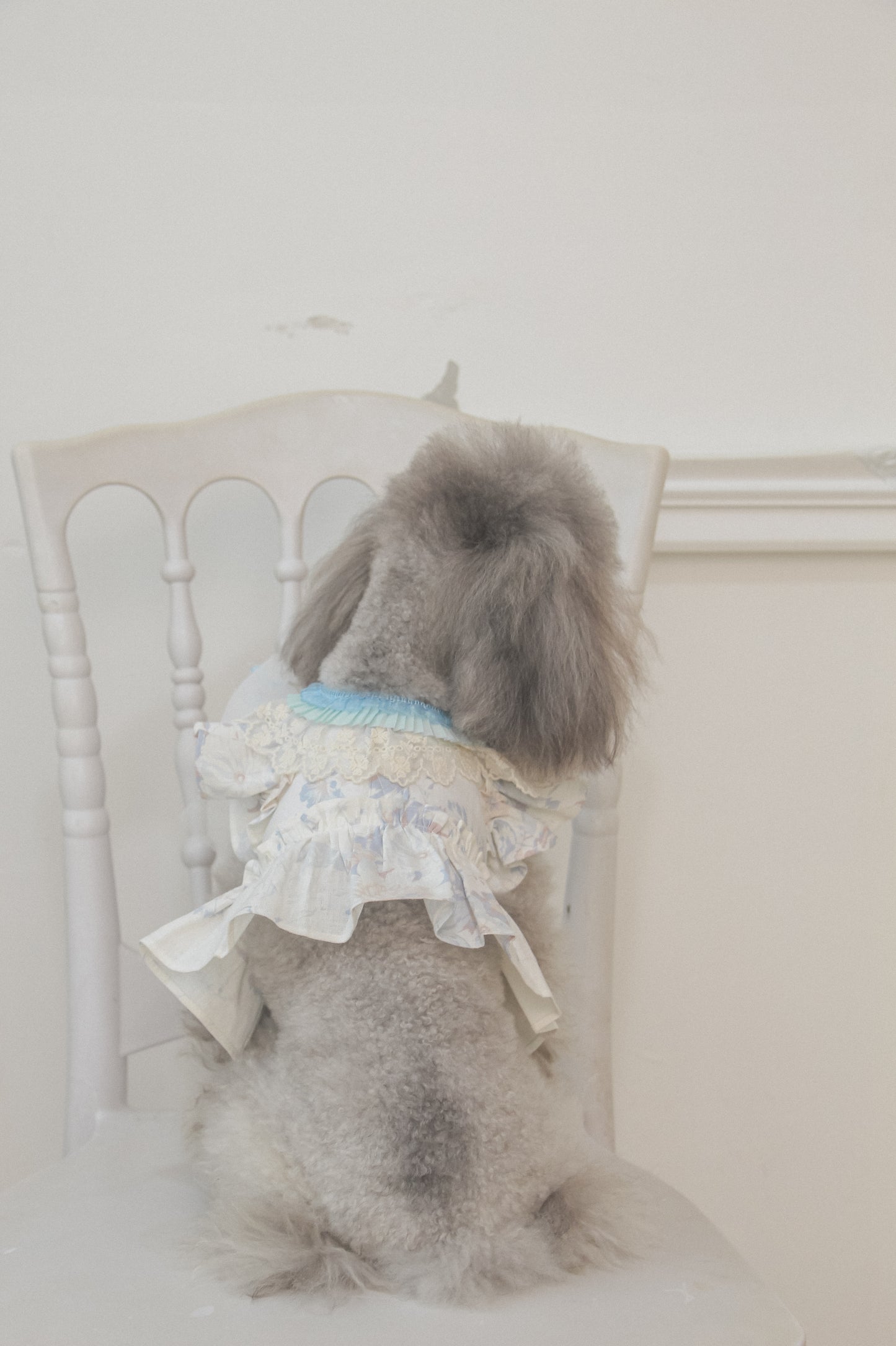 elysia harness (blue)
