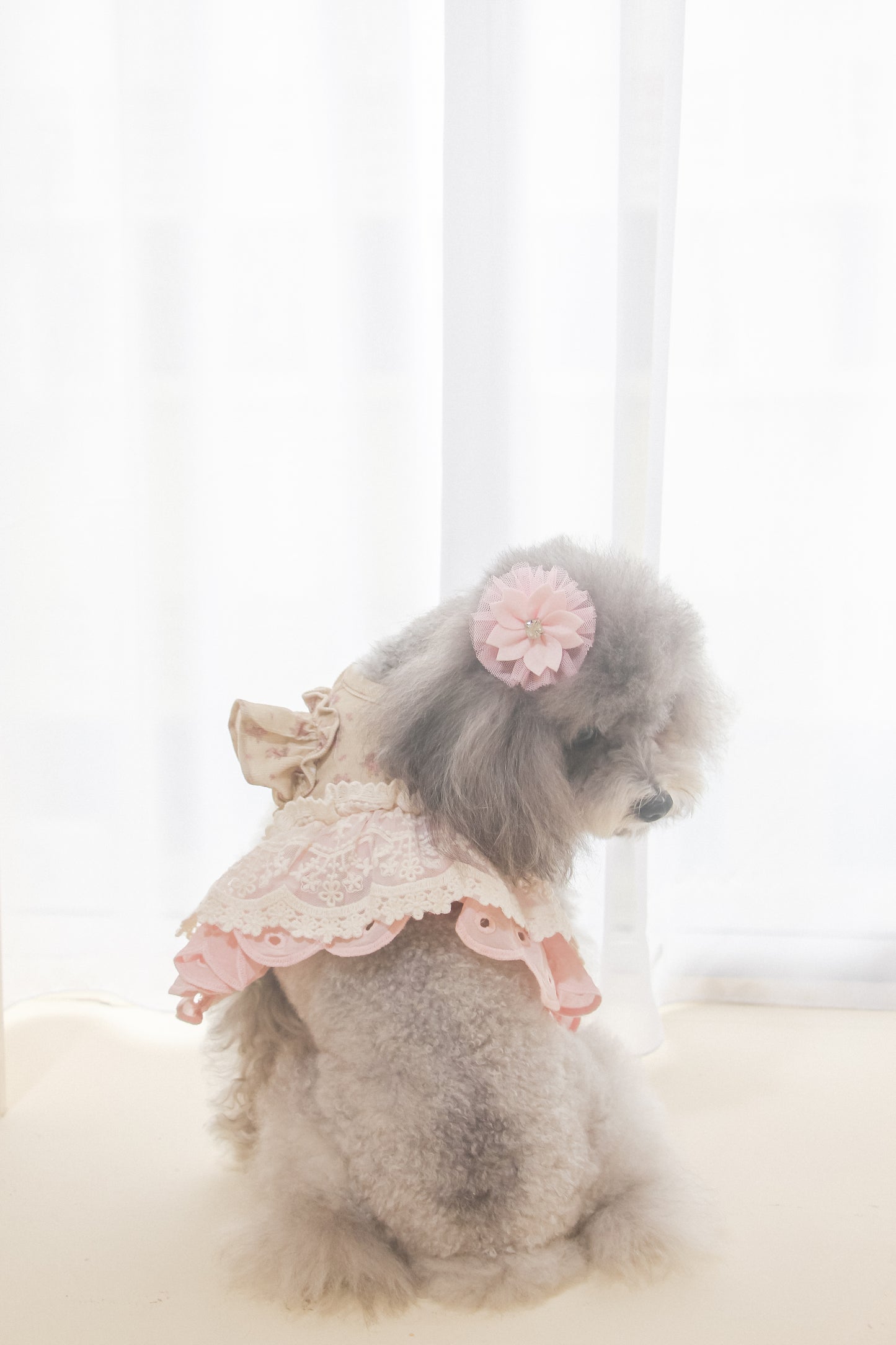 juliet harness + leash set (version 1 - beige)