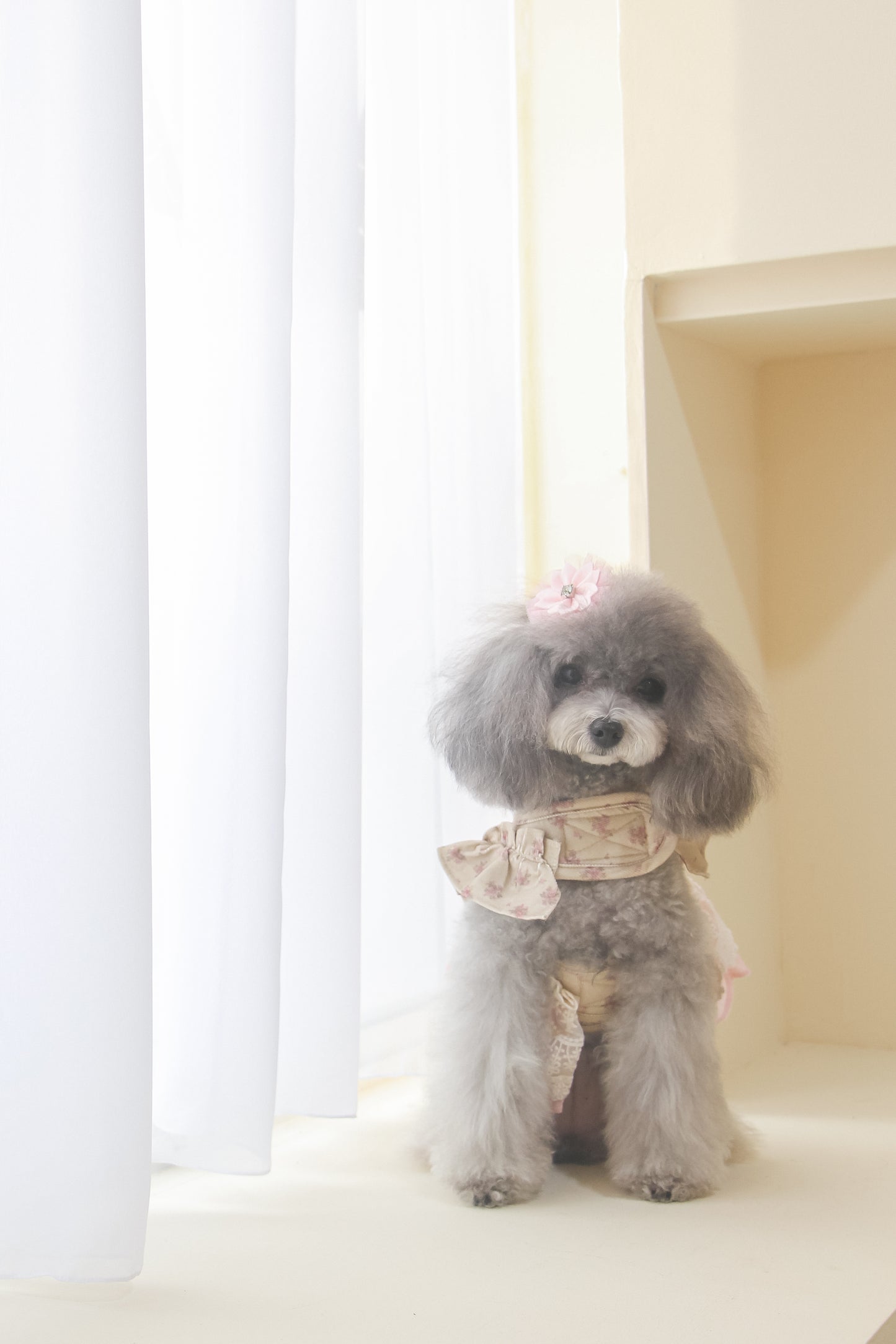 juliet harness (version 1 - beige)