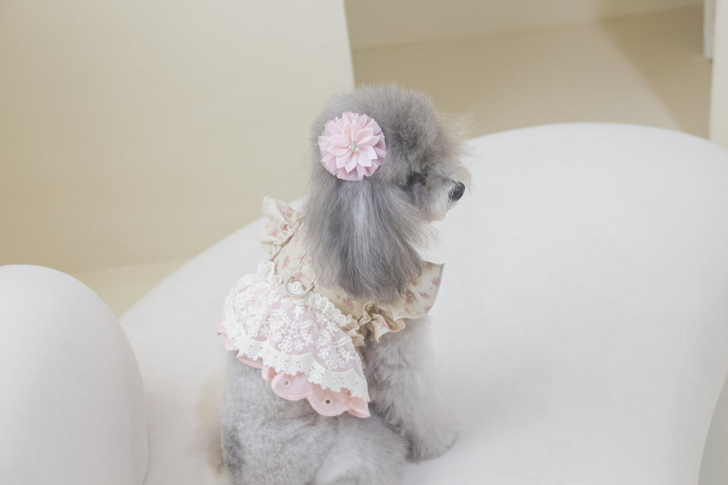 juliet harness + leash set (version 1 - beige)