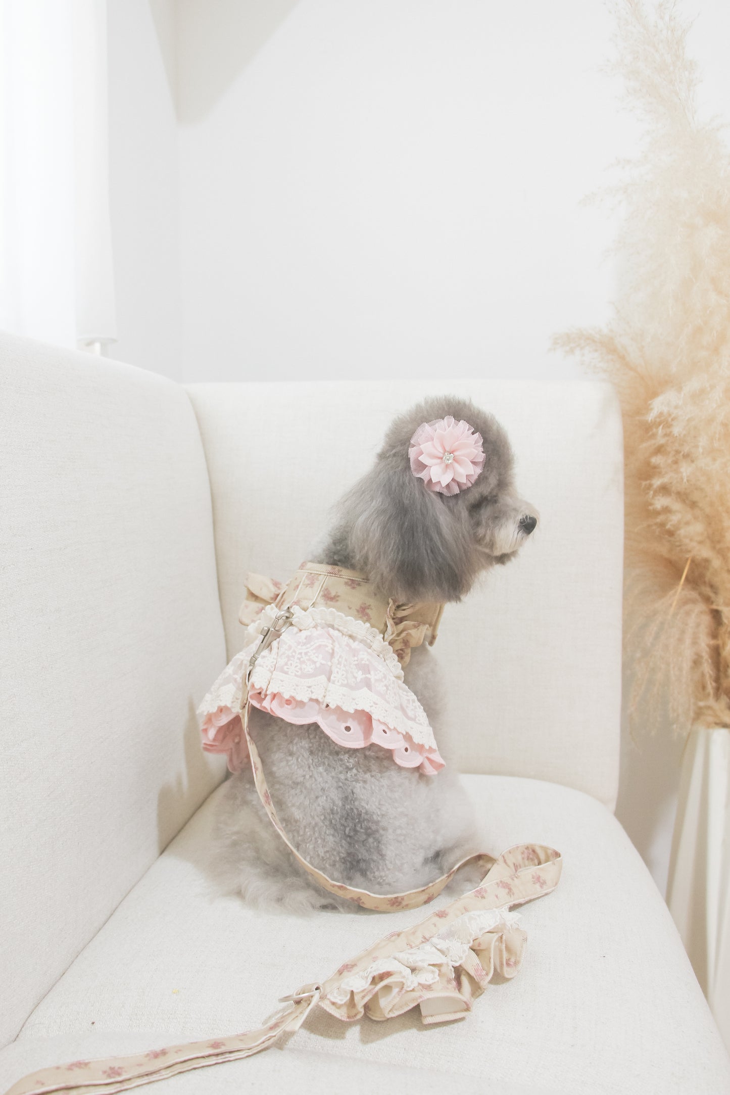 juliet harness + leash set (version 1 - beige)