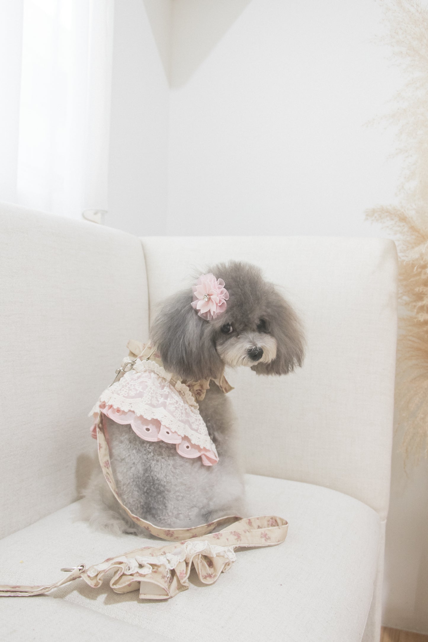juliet harness + leash set (version 1 - beige)